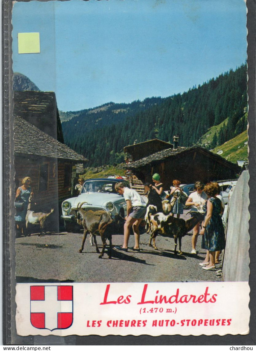 LES LINDARETS // Lot 19 // Chèvres - Sonstige & Ohne Zuordnung