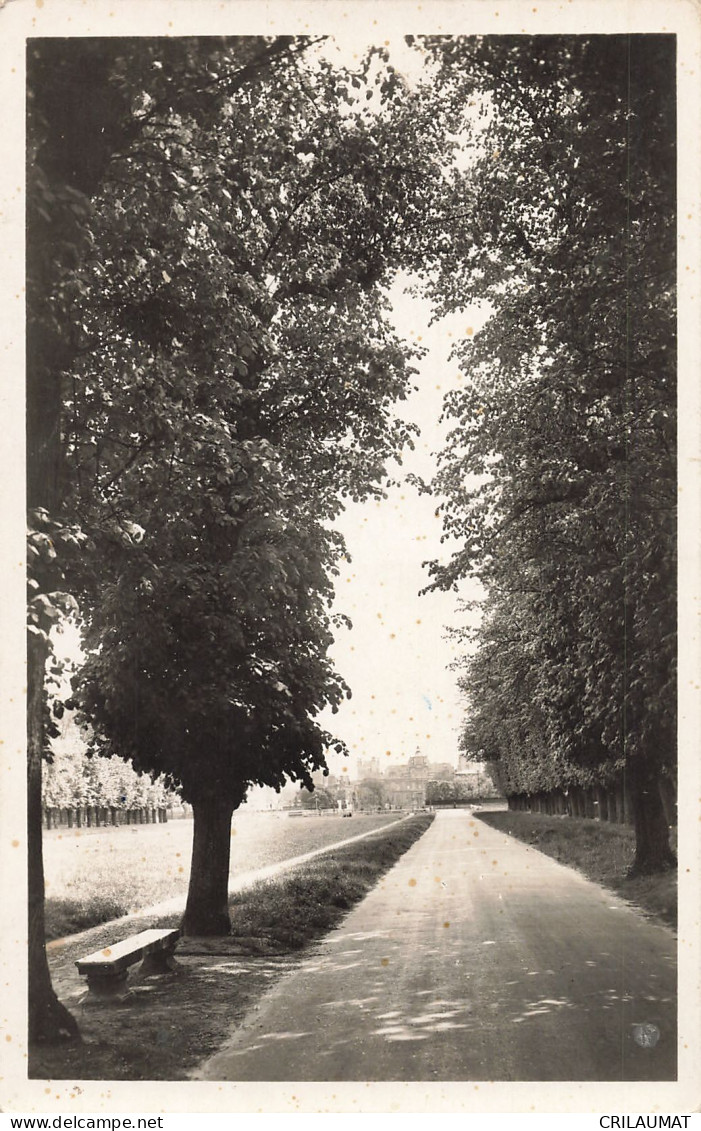 78-MAISONS LAFFITTE-N°T5281-G/0039 - Maisons-Laffitte