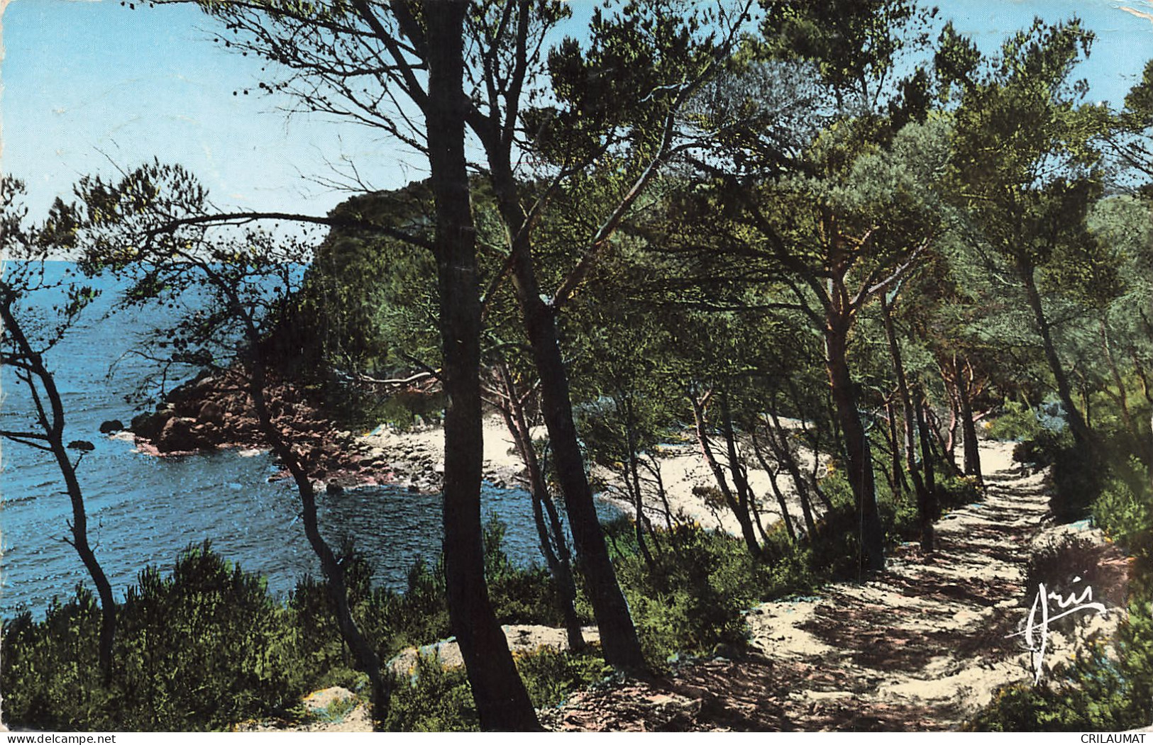 83-BANDOL-N°T5282-C/0131 - Bandol