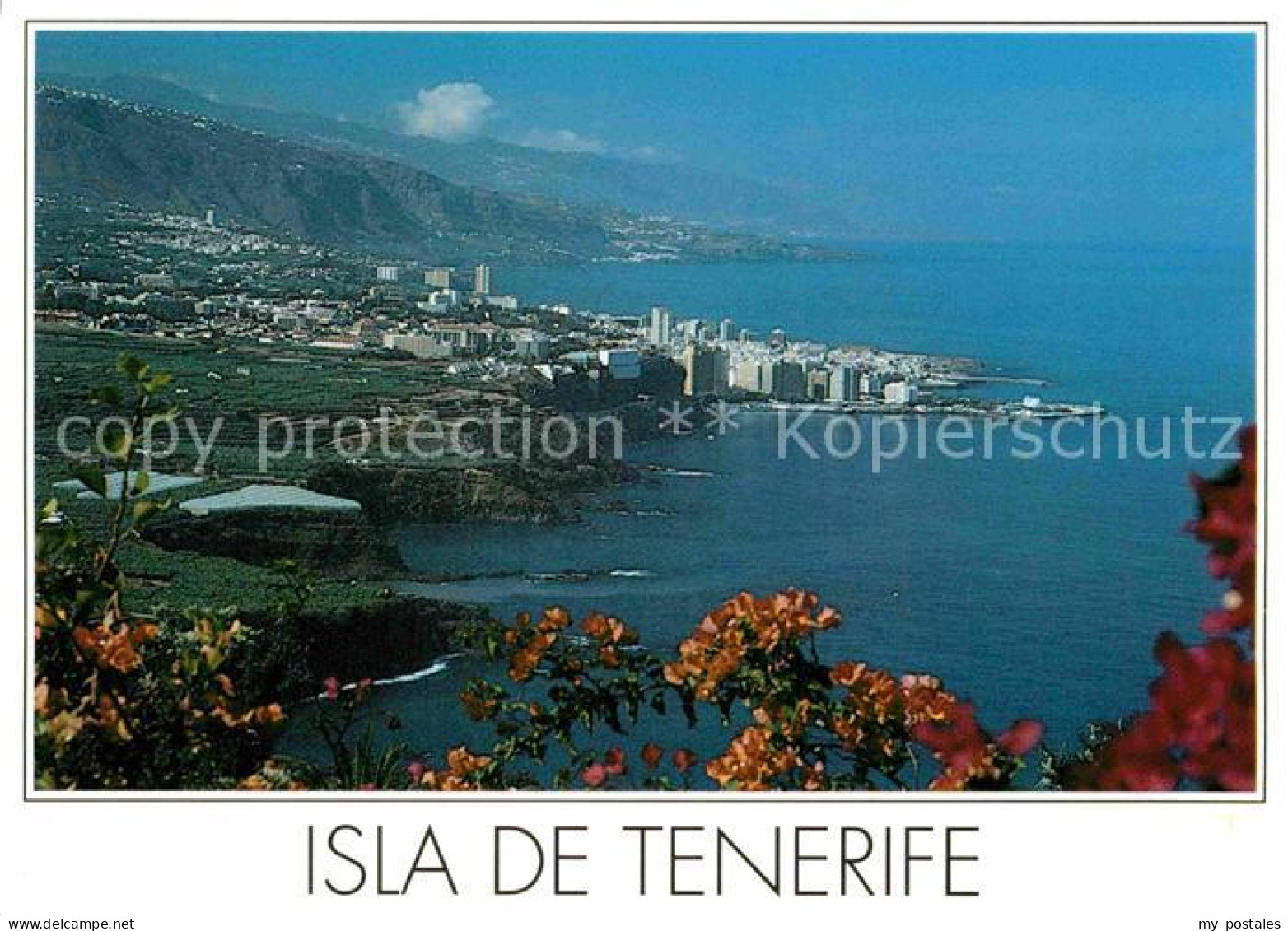 72851053 Puerto De La Cruz  Puerto De La Cruz Tenerife - Other & Unclassified