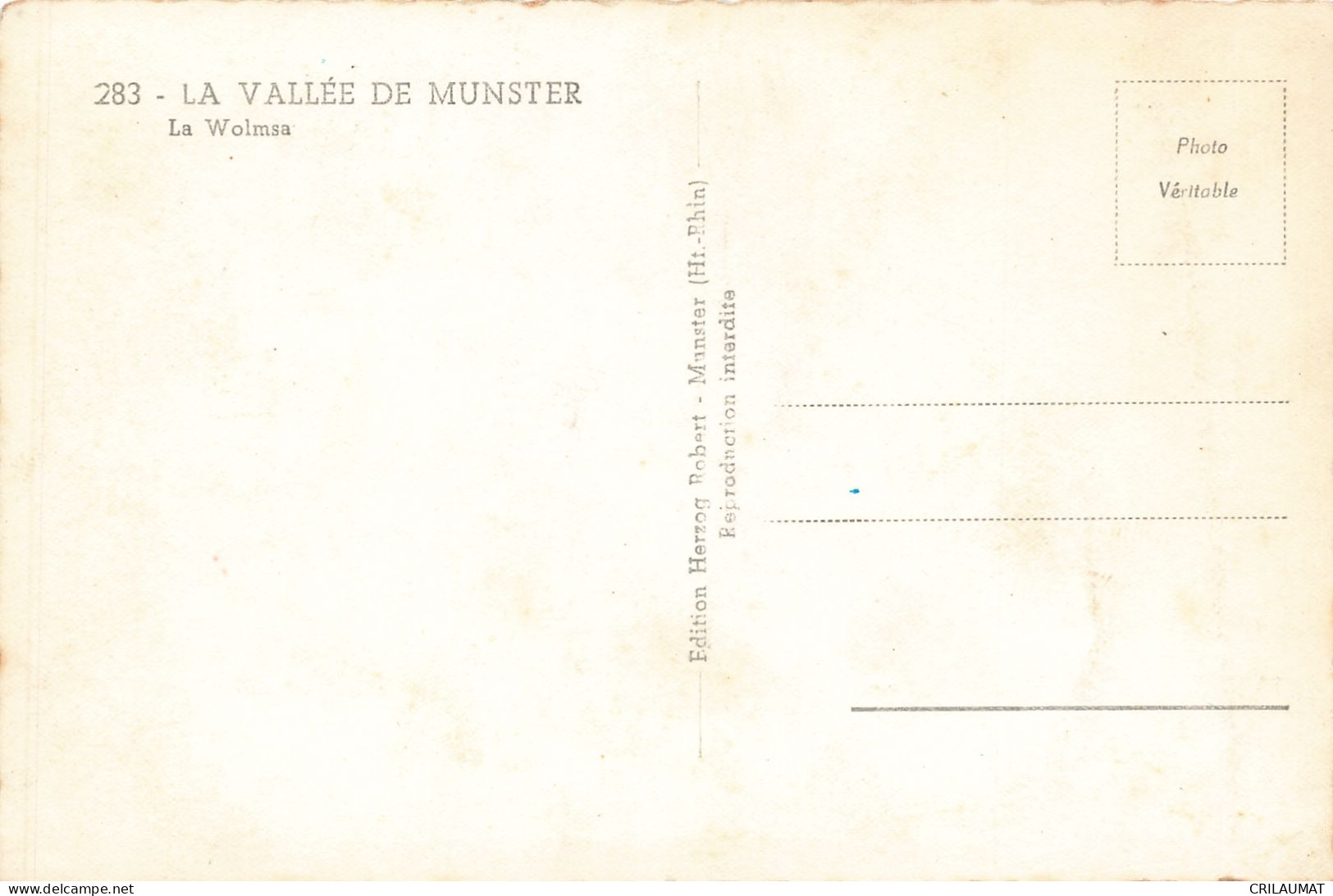 68-VALLEE DE MUNSTER-N°T5282-A/0243 - Otros & Sin Clasificación