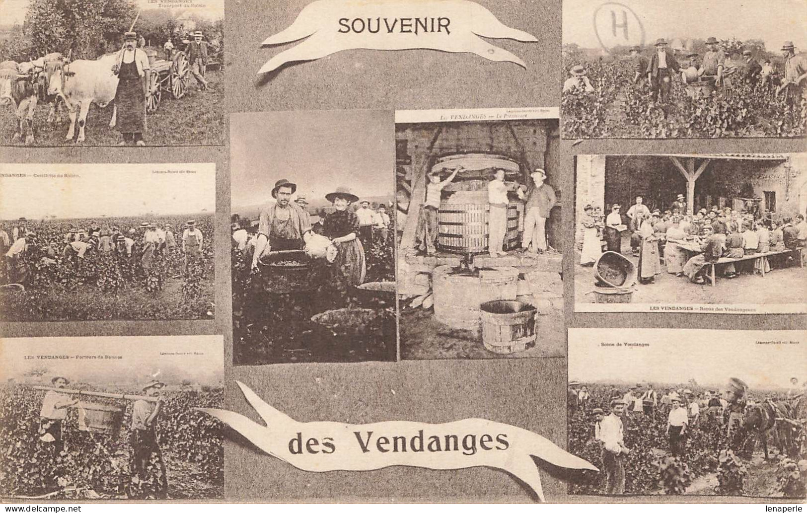 D9178 Souvenir Des Vendanges - Autres & Non Classés