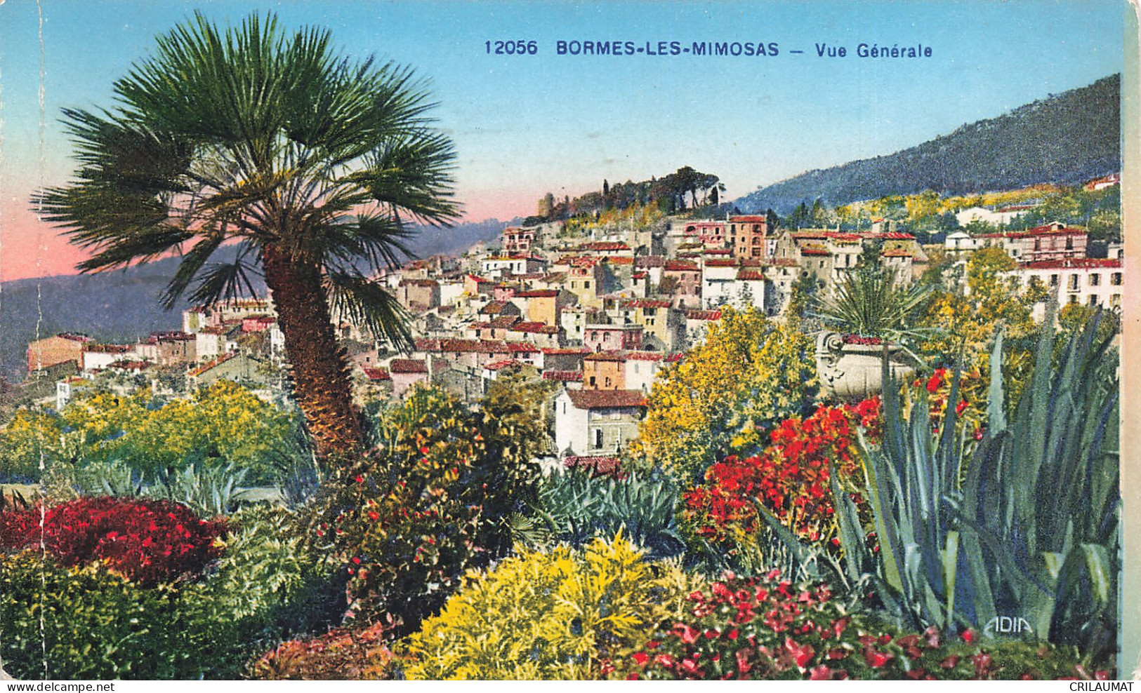 83-BORMES LES MIMOSAS-N°T5282-D/0019 - Bormes-les-Mimosas