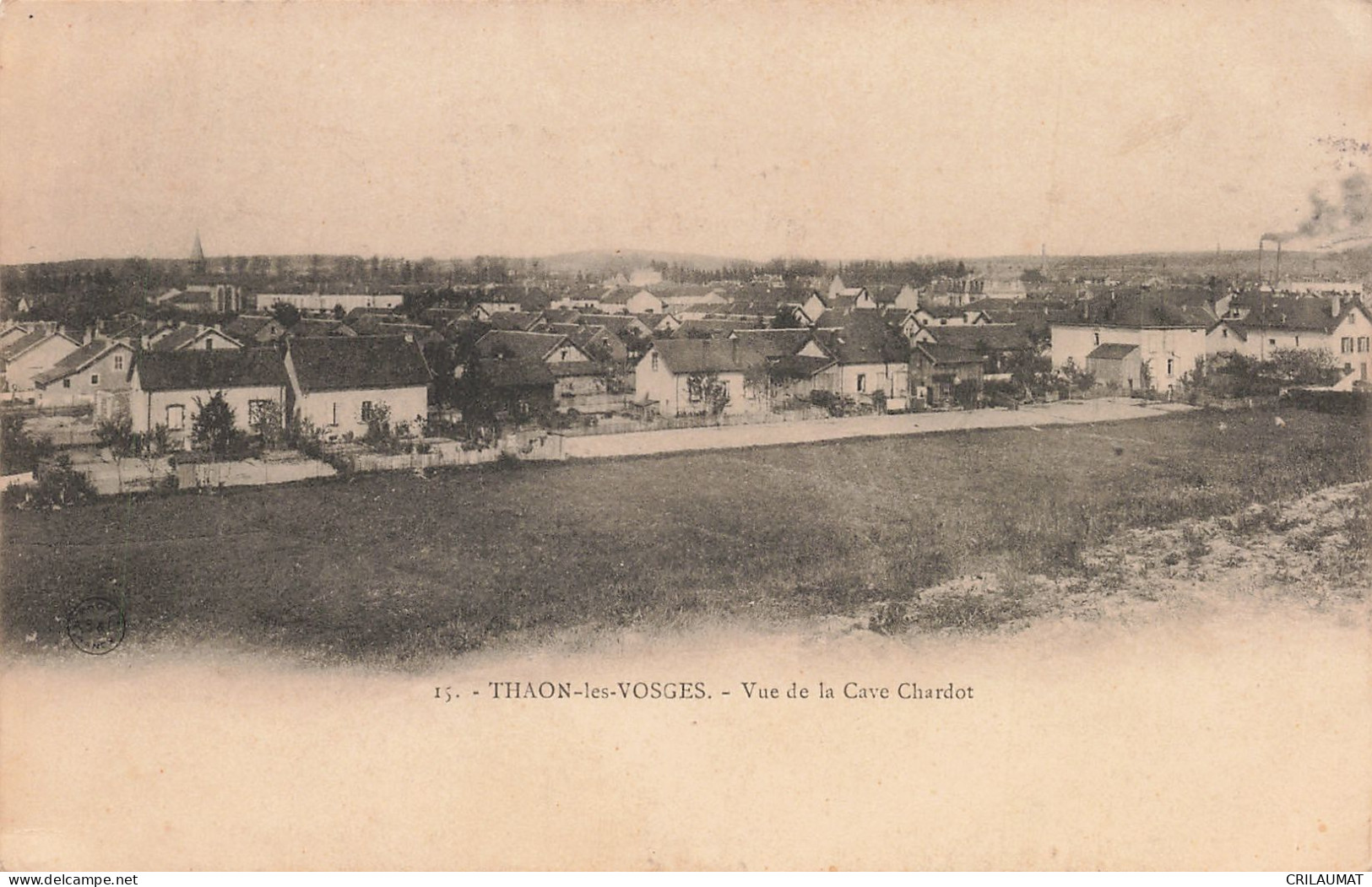 88-THAON LES VOSGES-N°T5282-G/0291 - Thaon Les Vosges