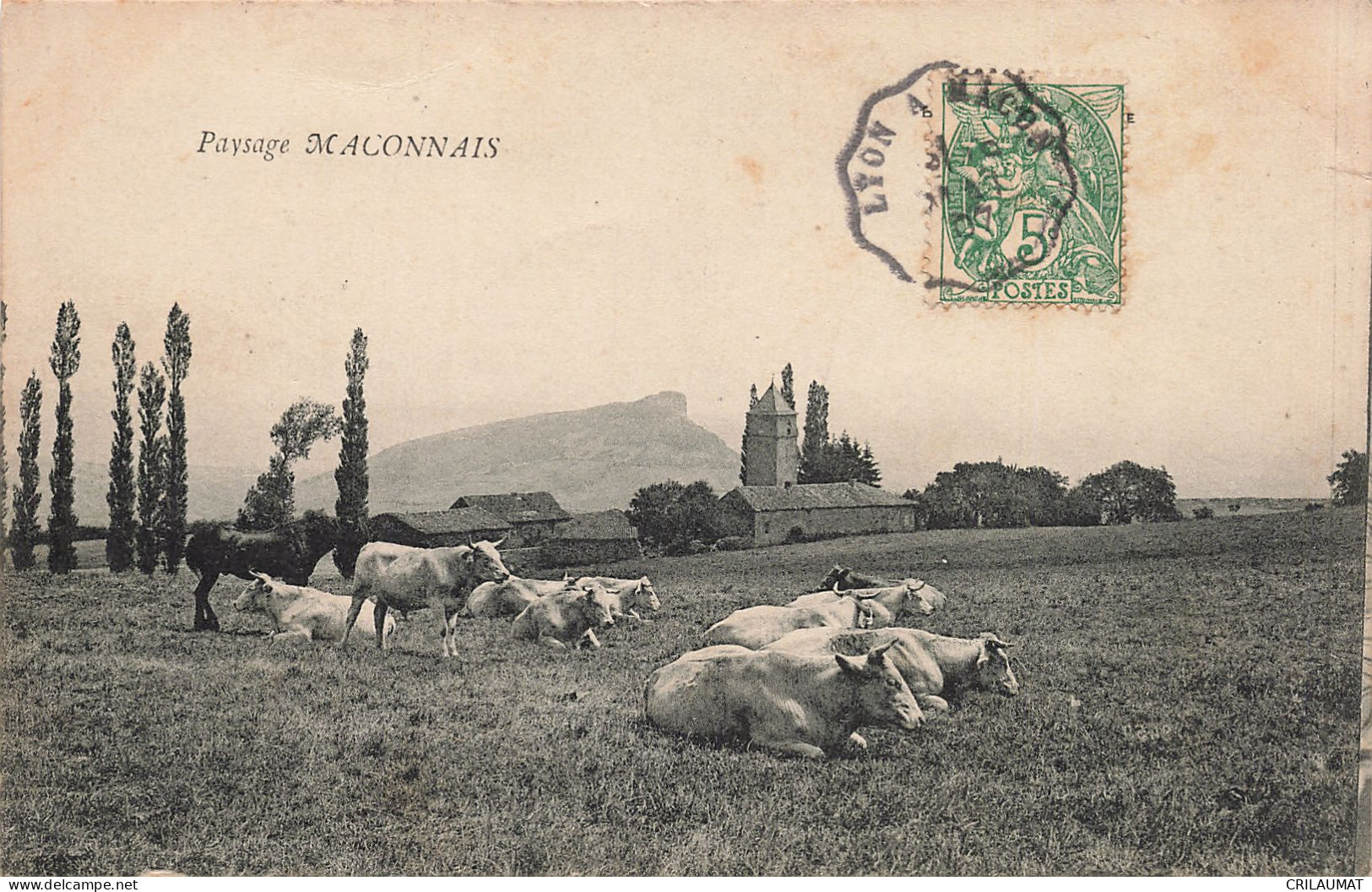 71-PAYS MACONNAIS-N°T5283-B/0361 - Other & Unclassified