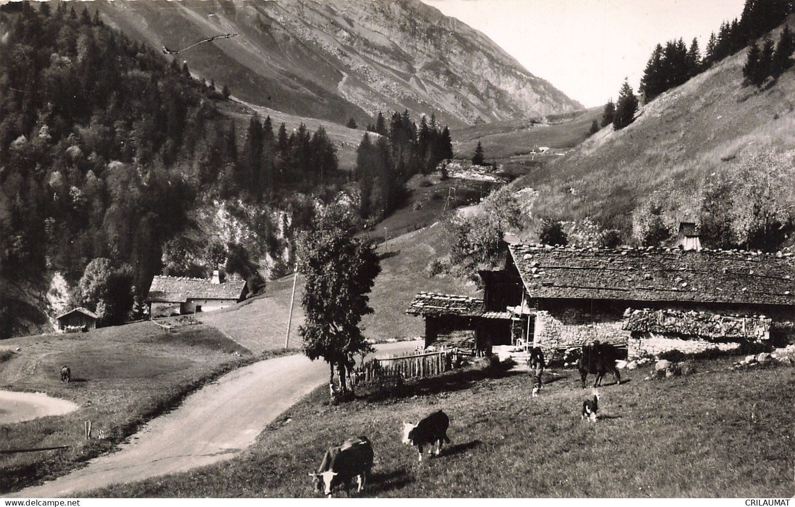 74-COL DES ARAVIS-N°T5283-B/0207 - Other & Unclassified