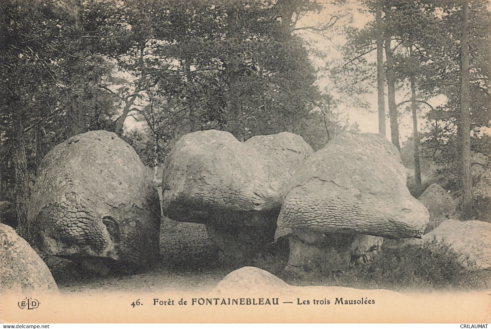 77-FONTAINEBLEAU LA FORET-N°T5283-E/0077 - Fontainebleau