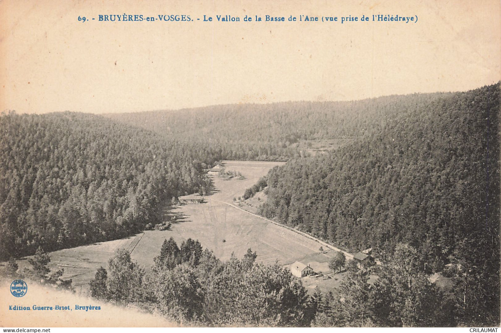 88-BRUYERES EN VOSGES-N°T5283-D/0255 - Bruyeres