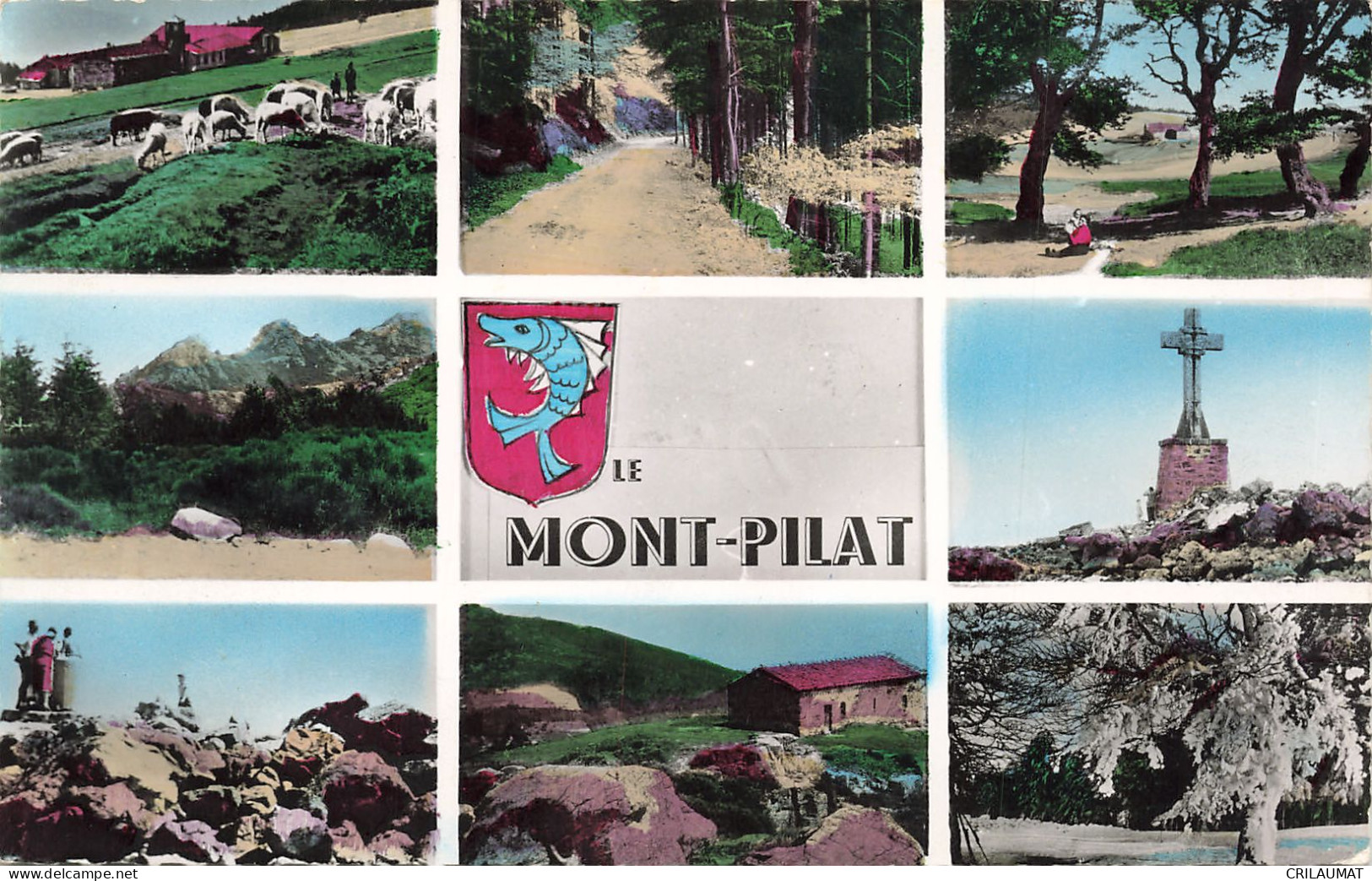 42-LE MONT PILAT-N°T5283-D/0027 - Other & Unclassified