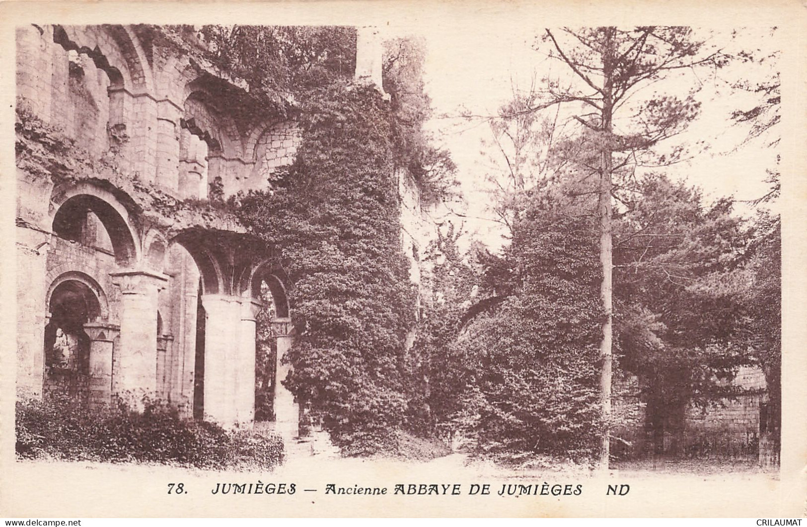 76-JUMIEGES-N°T5283-D/0019 - Jumieges