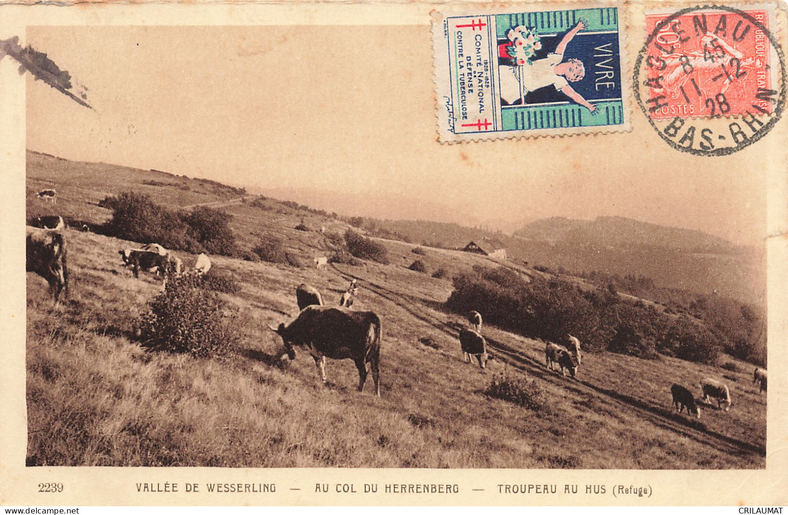 68-COL DU HERRENBERG-N°T5283-E/0347 - Autres & Non Classés