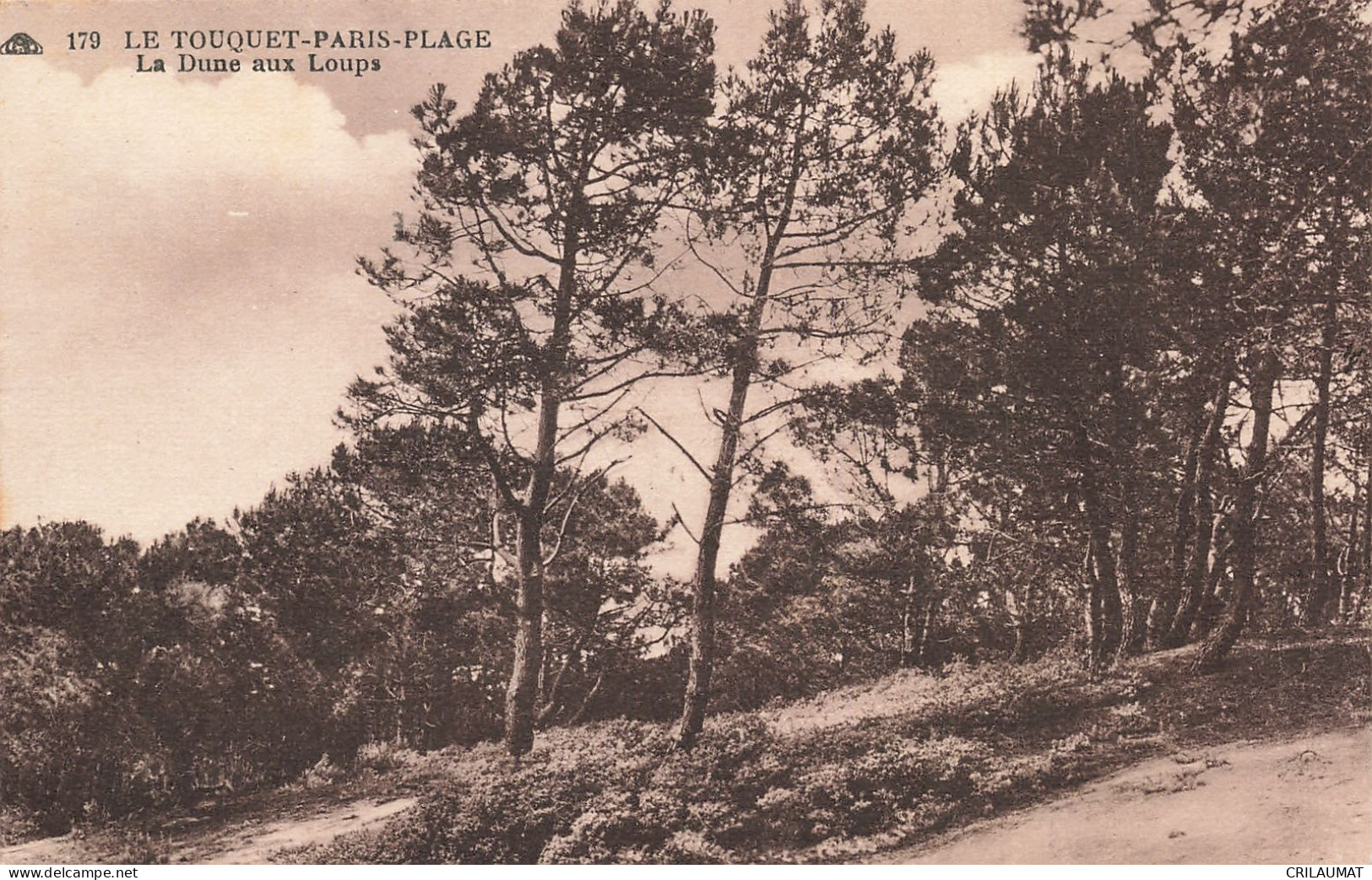 62-LE TOUQUET PARIS PLAGE-N°T5284-B/0229 - Le Touquet