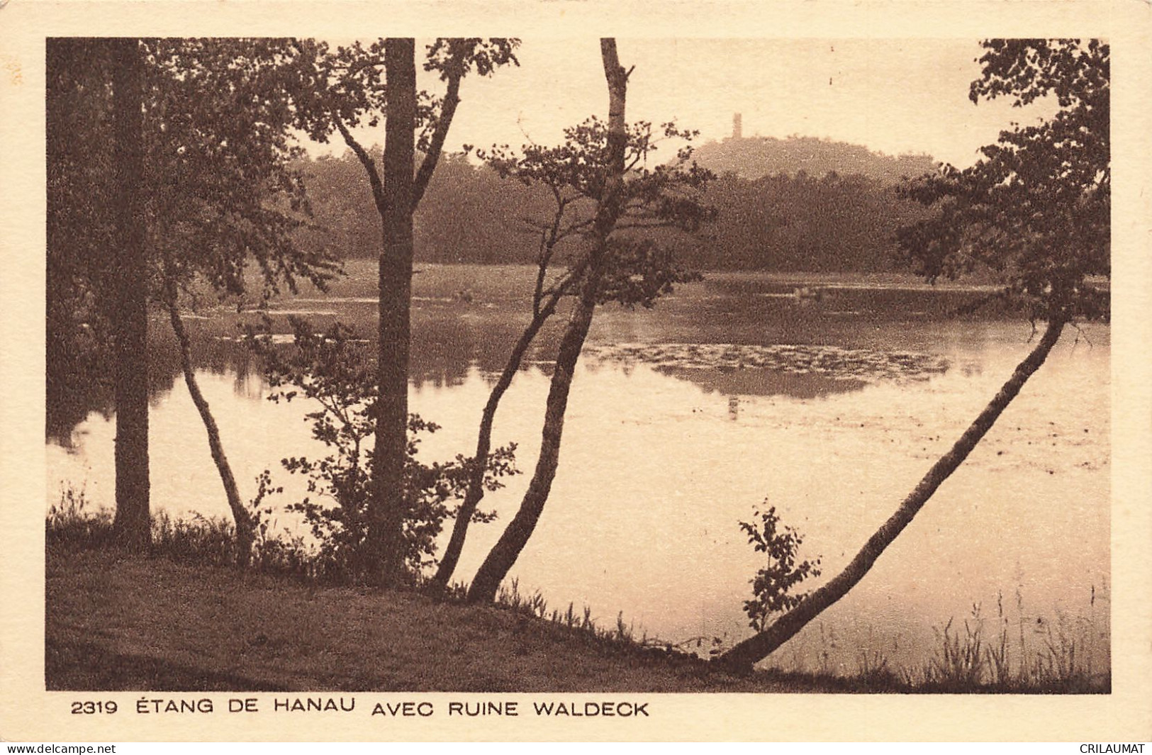 57-ETANG DE HANAU-N°T5284-E/0097 - Sonstige & Ohne Zuordnung