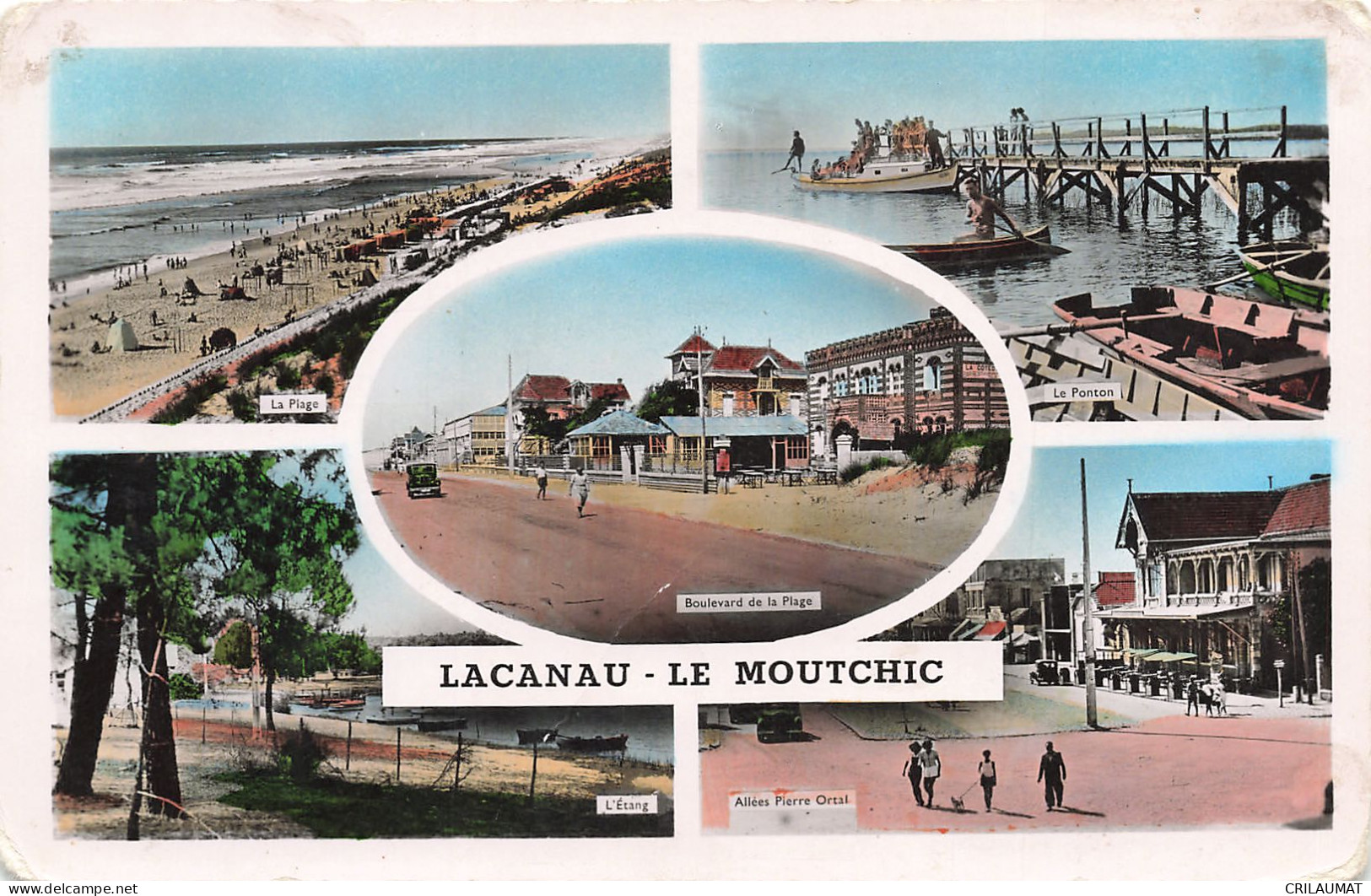 33-LACANAU-N°T5285-C/0169 - Autres & Non Classés