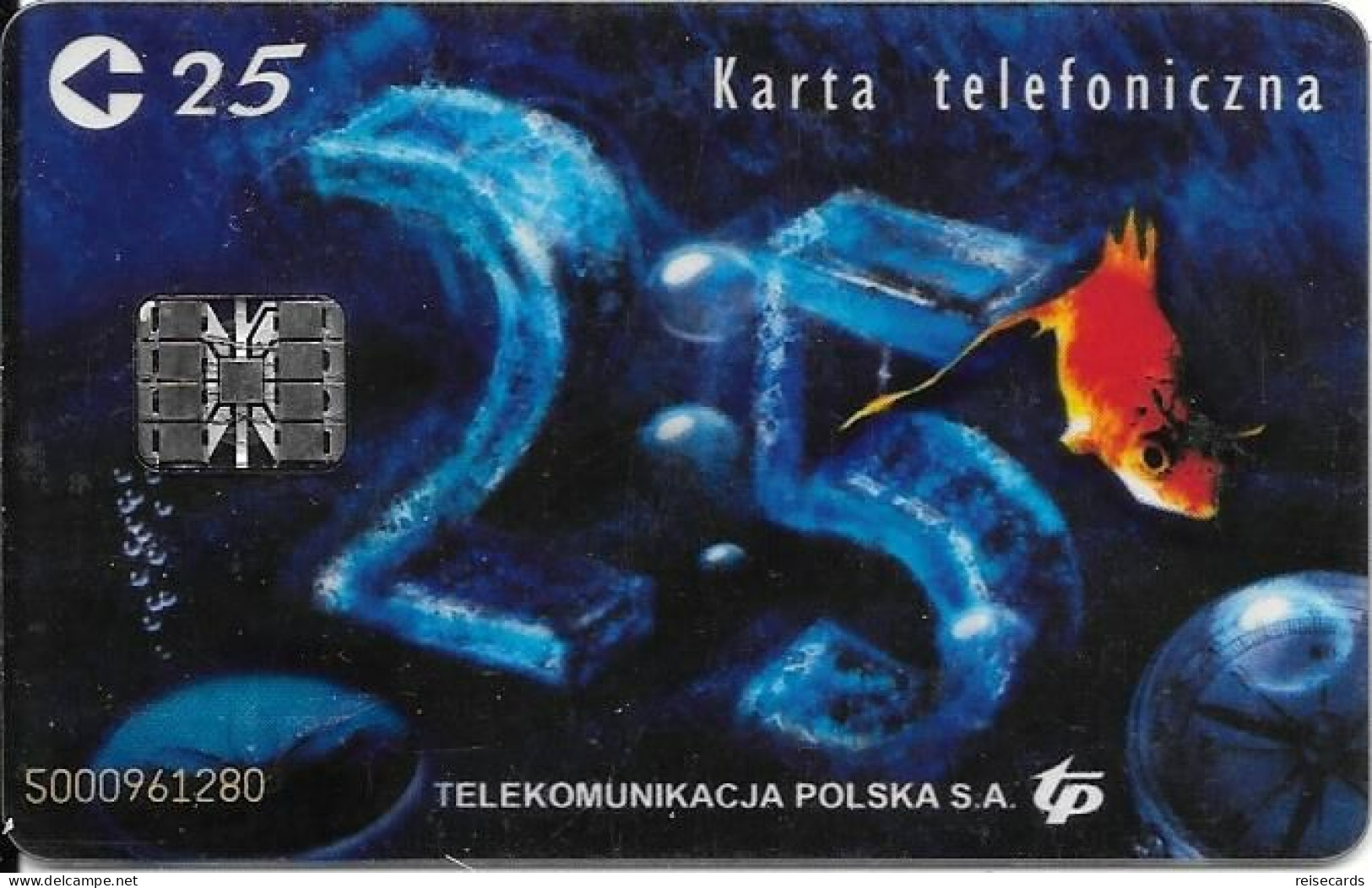 Poland: Telekomunikacja Polska - 2002 Transparent Card - Polen