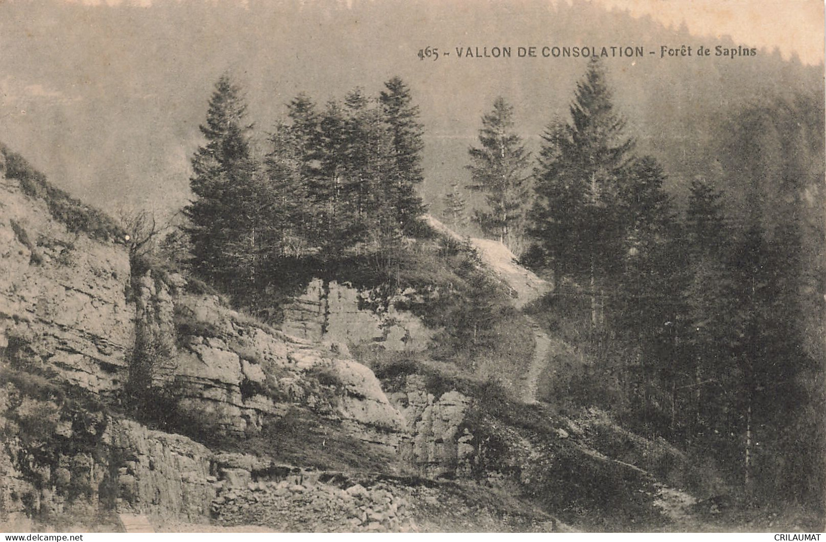 25-VALLON DE CONSOLATION-N°T5285-F/0363 - Other & Unclassified