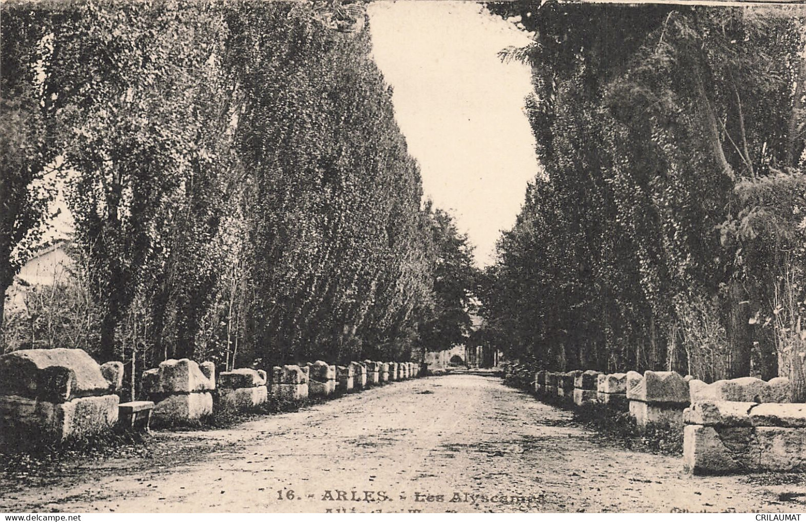 13-ARLES-N°T5285-E/0013 - Arles