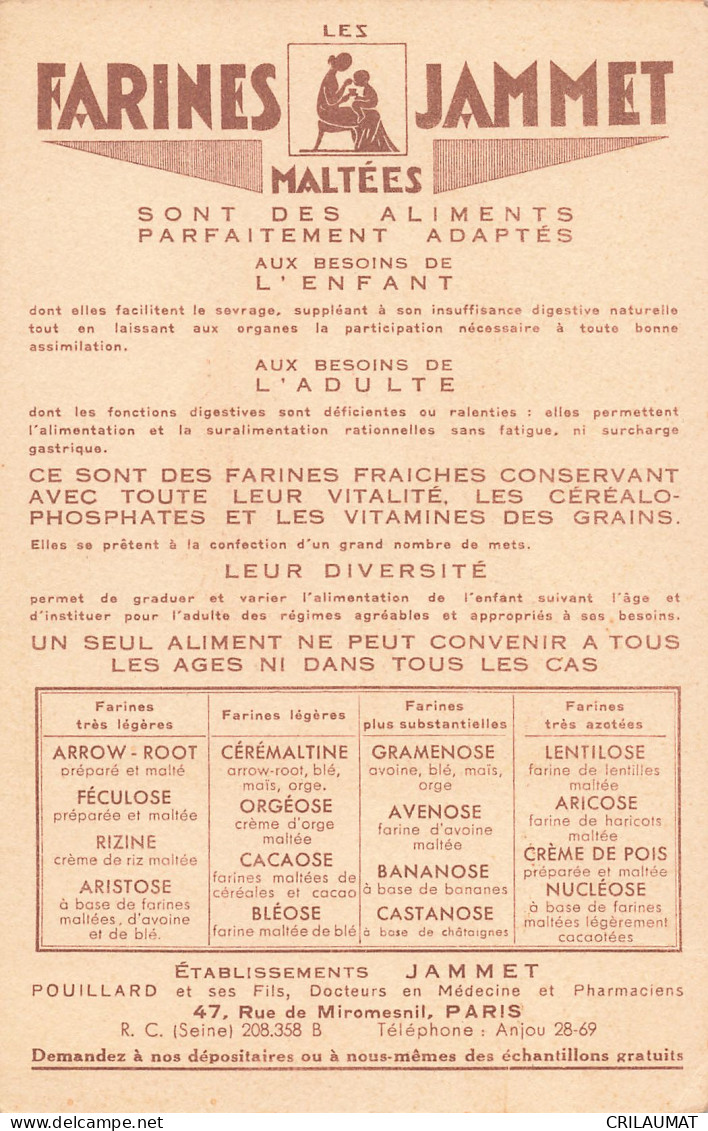 09-LE COMTE DE FOIX-N°T5285-H/0295 - Sonstige & Ohne Zuordnung