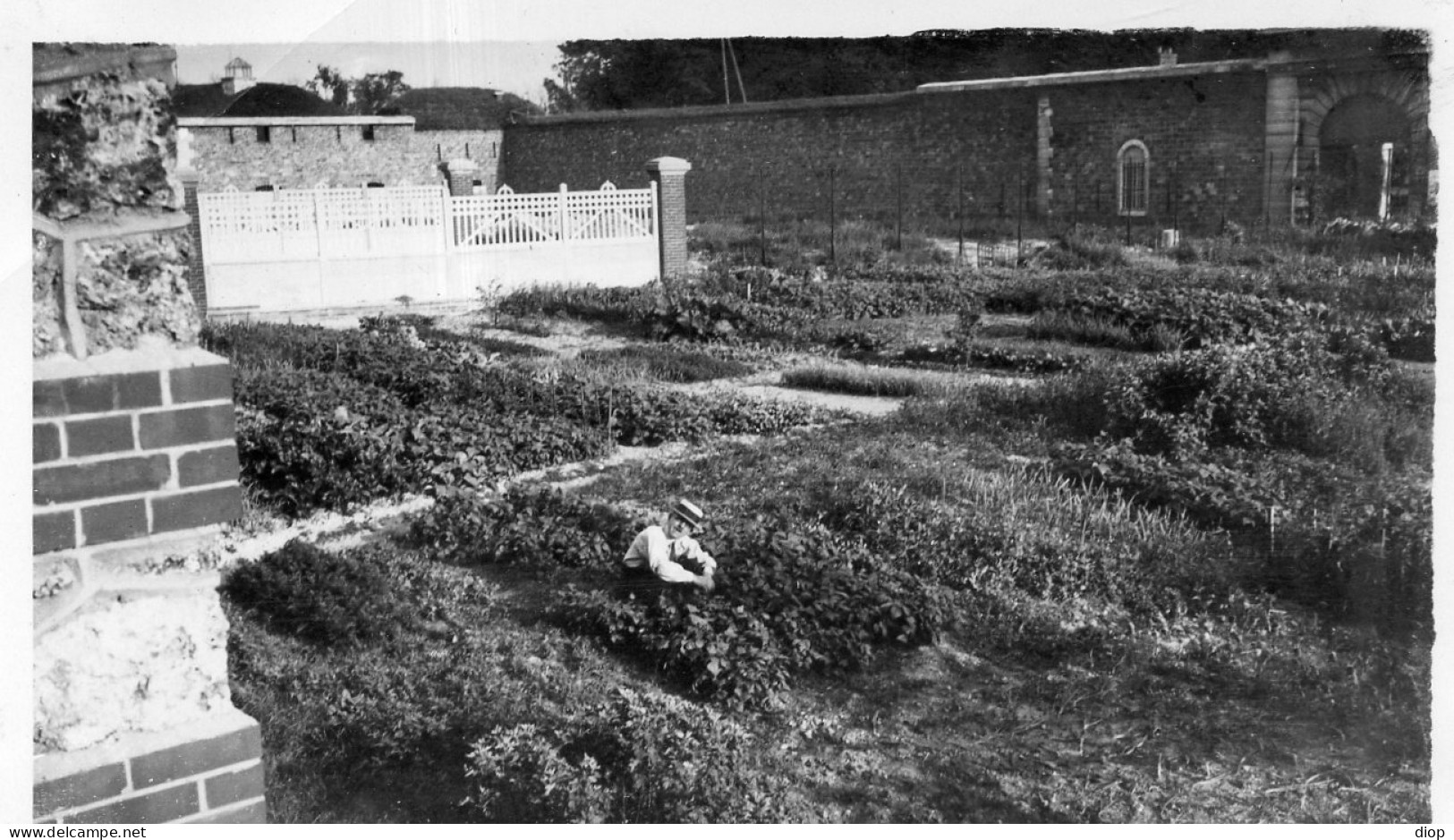 Photo Vintage Paris Snap Shop - Jardinier Jardin Potager Garden  - Métiers