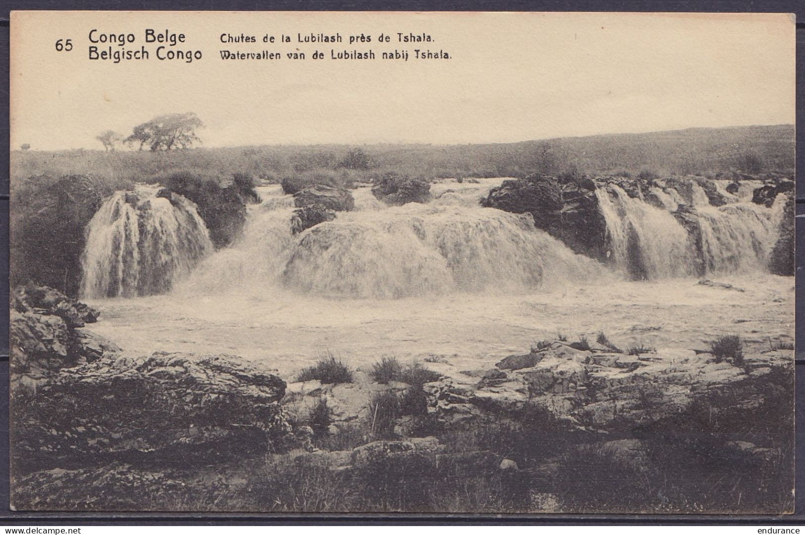 Congo Belge - EP CP 5c Vert "Chutes De La Lubilash Près De Tshala" Càd UK KIGOMA /17 DE 1917 Pour Adjoint Supérieur Andr - Enteros Postales