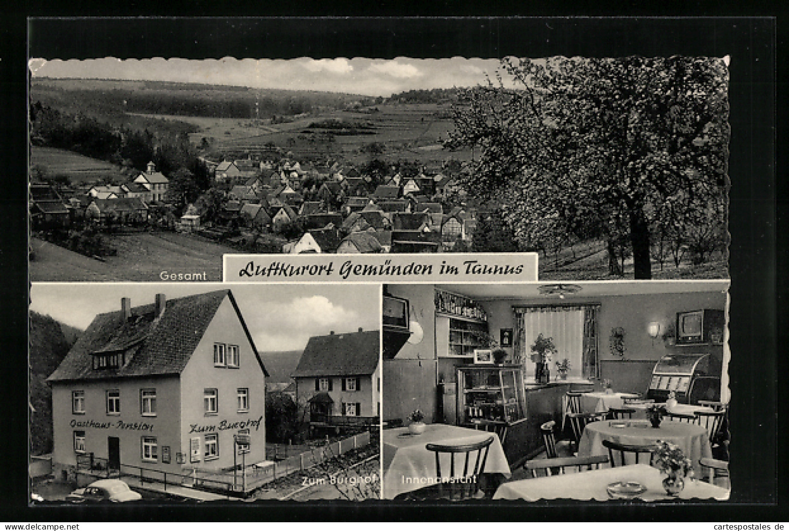 AK Gemünden /Taunus, Gasthaus U. Pension Zum Burghof, Bes. W. Burk, Gesamtansicht  - Taunus