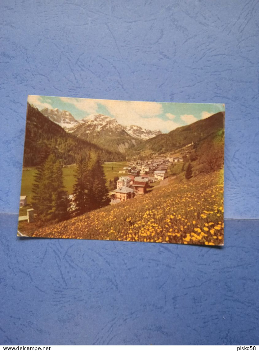 Falcade-panorama E Passo Valles-fg-1981 - Autres & Non Classés