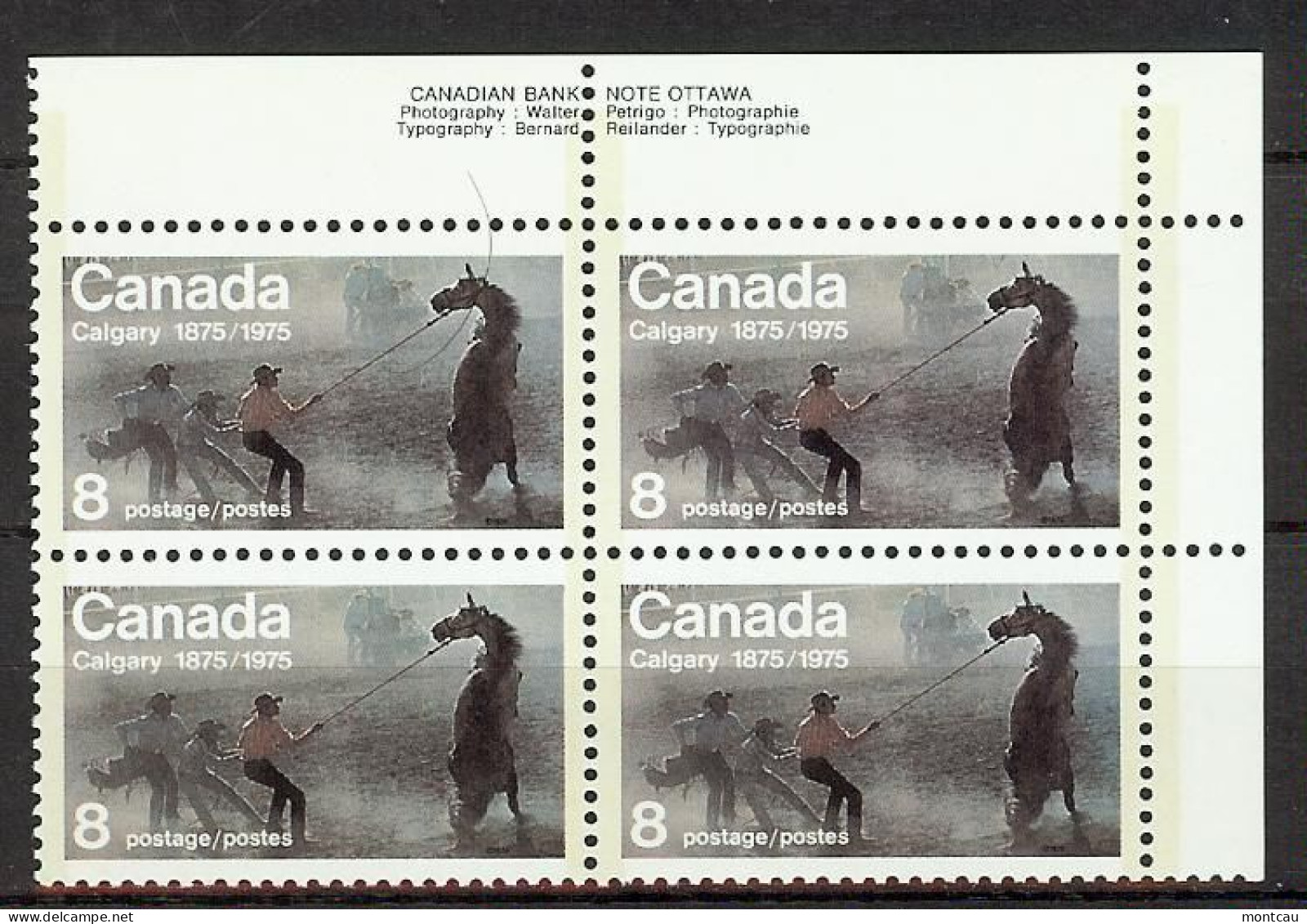 Canada 1975. Calgary . Sc=667 (**) - Unused Stamps