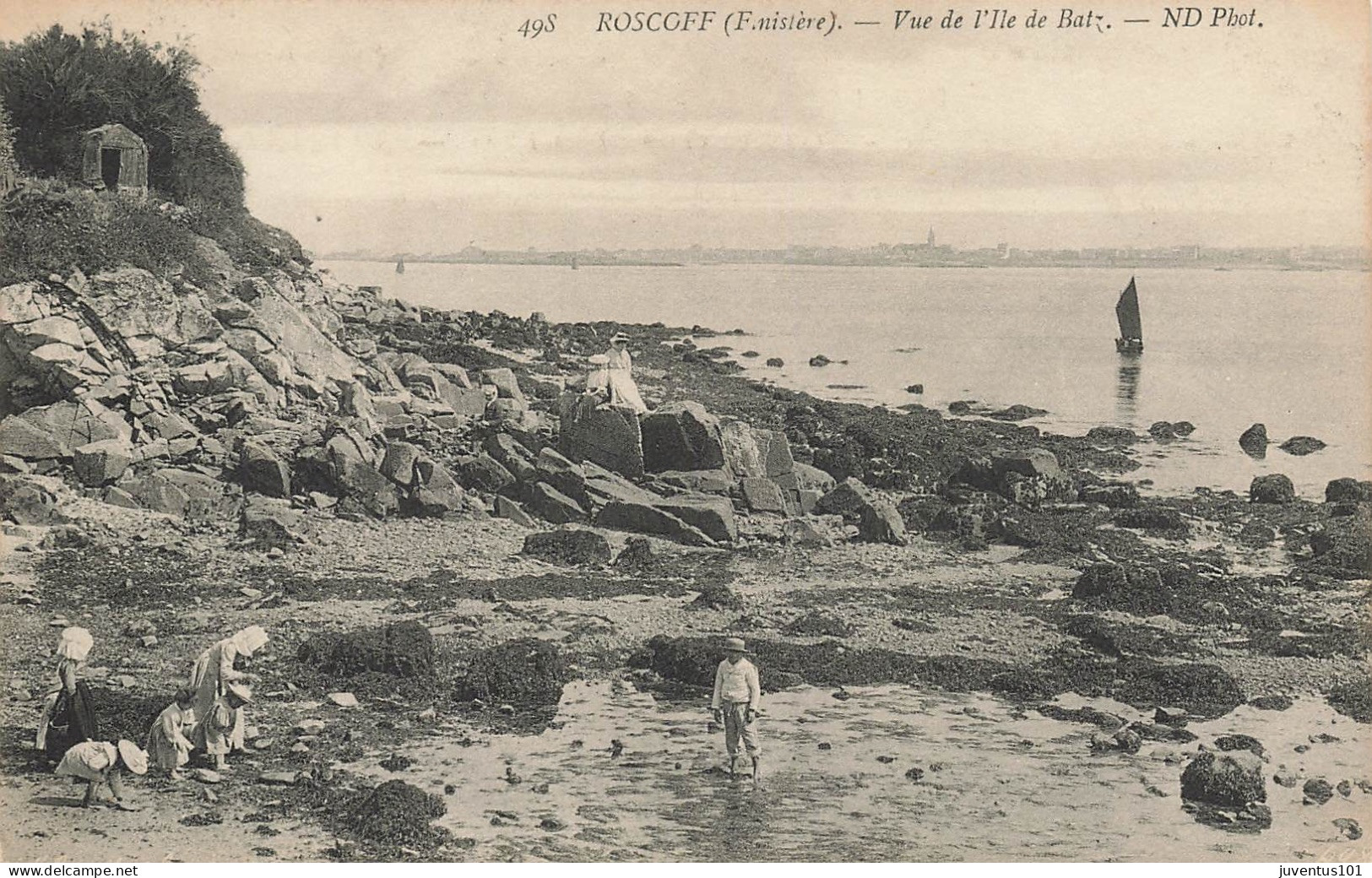 CPA Roscoff-Vue De L'Ile De Batz-498     L2907 - Roscoff