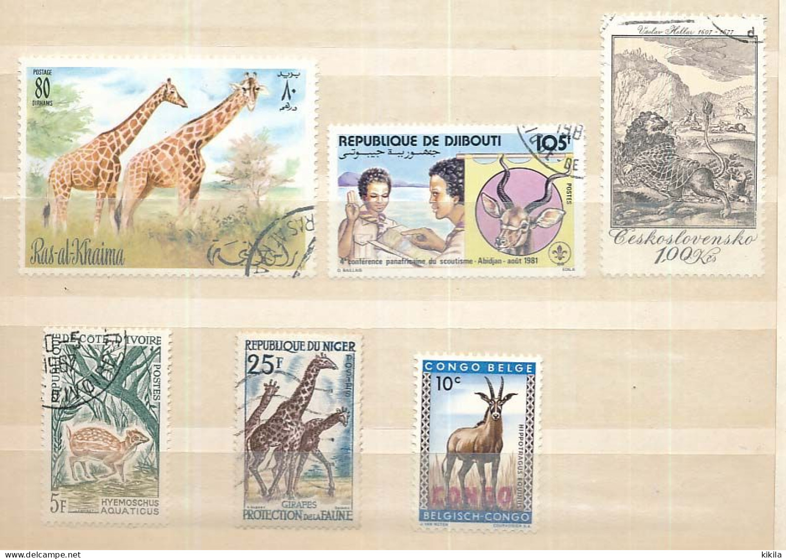 6 Timbres Oblitérés Différents VII-1 Animaux Sauvage Mammifères Ras Al Khaima (1) Djibouti (1)Tchécoslovaquie (2) Côte * - Sonstige & Ohne Zuordnung