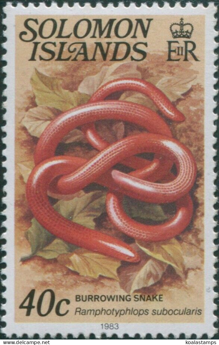 Solomon Islands 1979 SG399cB 40c Burrowing Snake Date Imprint MNH - Salomon (Iles 1978-...)