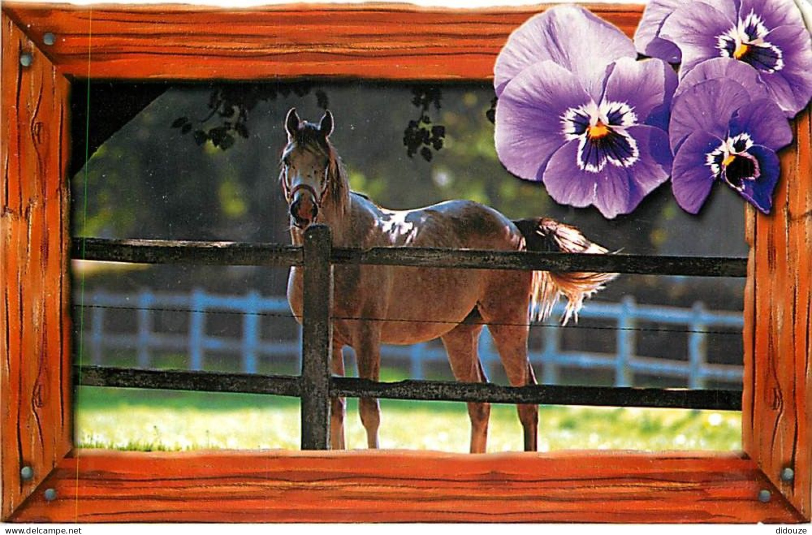 Format Spécial - 167 X 142 Mms - Animaux - Chevaux - Au Paturage - Fleurs - Pensées - Découpe Originale - Carte Neuve -  - Chevaux