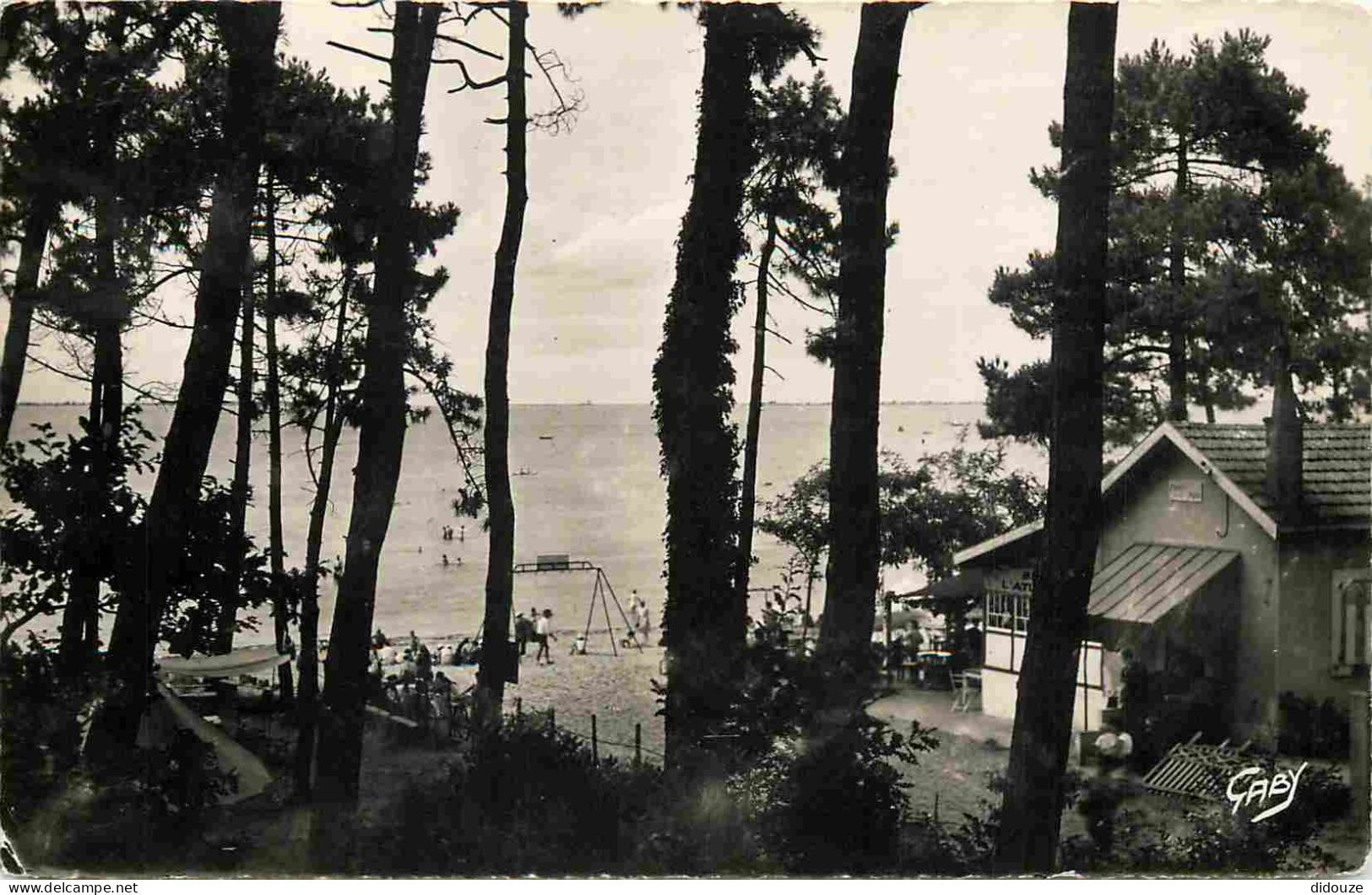 17 - Ronce Les Bains - Forêt-Plage - Mention Photographie Véritable - Carte Dentelée - CPSM Format CPA - Voir Scans Rect - Sonstige & Ohne Zuordnung