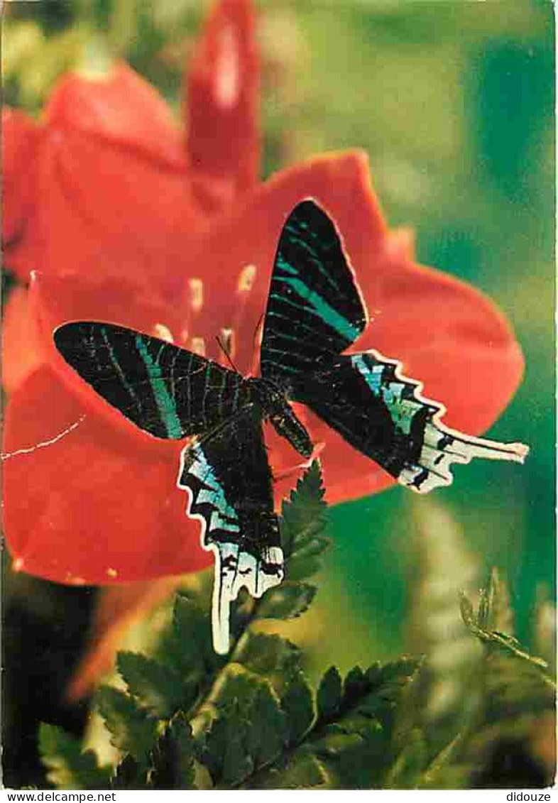 Animaux - Papillons - Fleurs - CPM - Voir Scans Recto-Verso - Butterflies