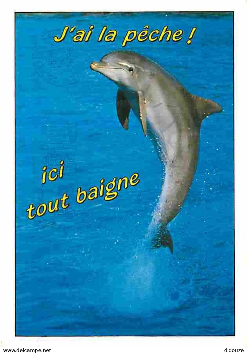 Animaux - Dauphins - CPM - Voir Scans Recto-Verso - Delphine