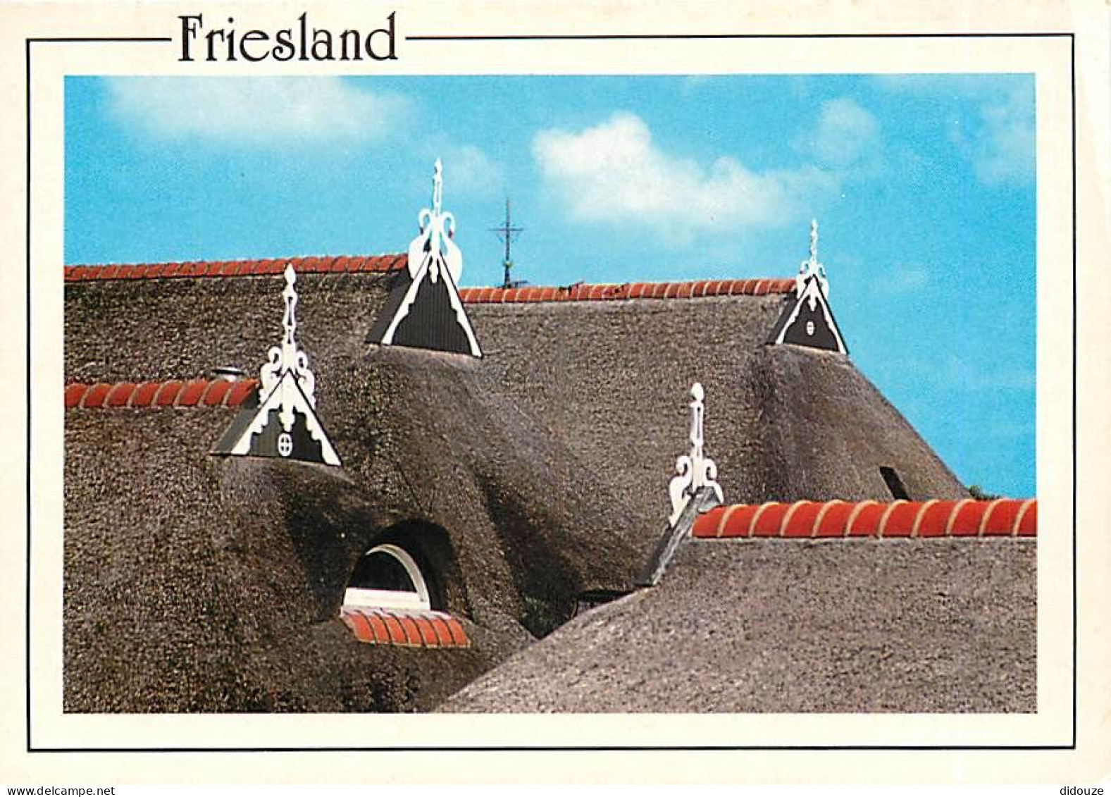 Pays-Bas - Nederland - Friesland - CPM - Voir Scans Recto-Verso - Altri & Non Classificati