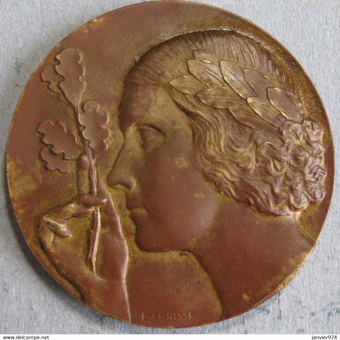 Medaille En Bronze Art Déco, Femme Avec Branche De Chêne , Par Fraisse - Otros & Sin Clasificación