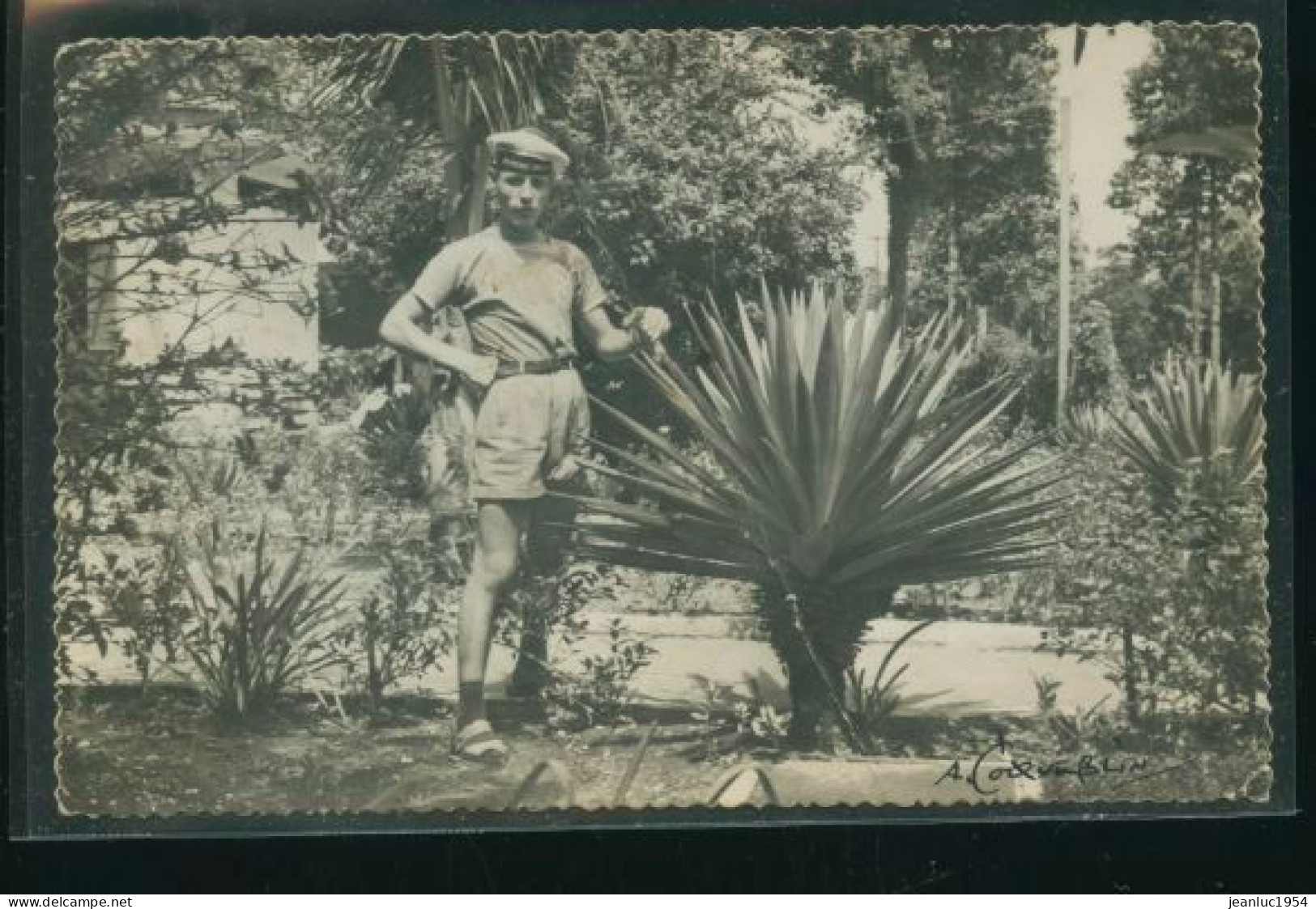 MARINE FRANCAISE COQVEBLIN     ( MES PHOTOS NE SONT PAS JAUNES ) - Regiments