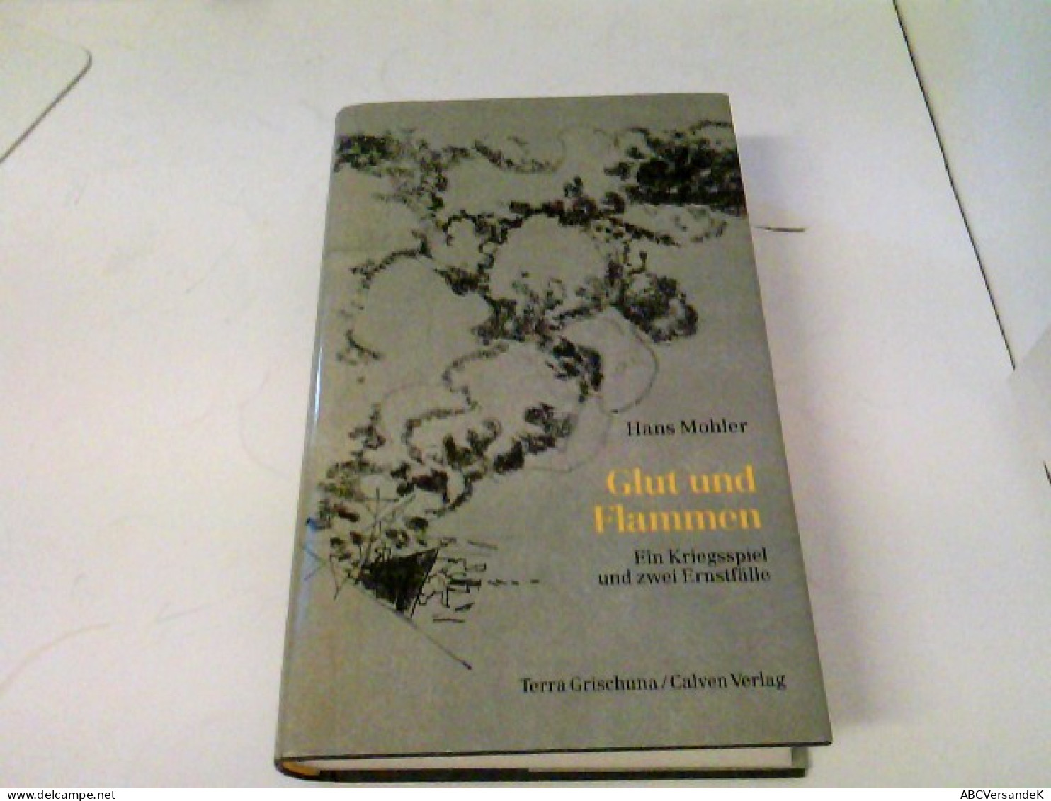 Glut Und Flammen. Ein Kriegsspiel Und Zwei Ernstfälle. Drei Erzählungen - Andere & Zonder Classificatie