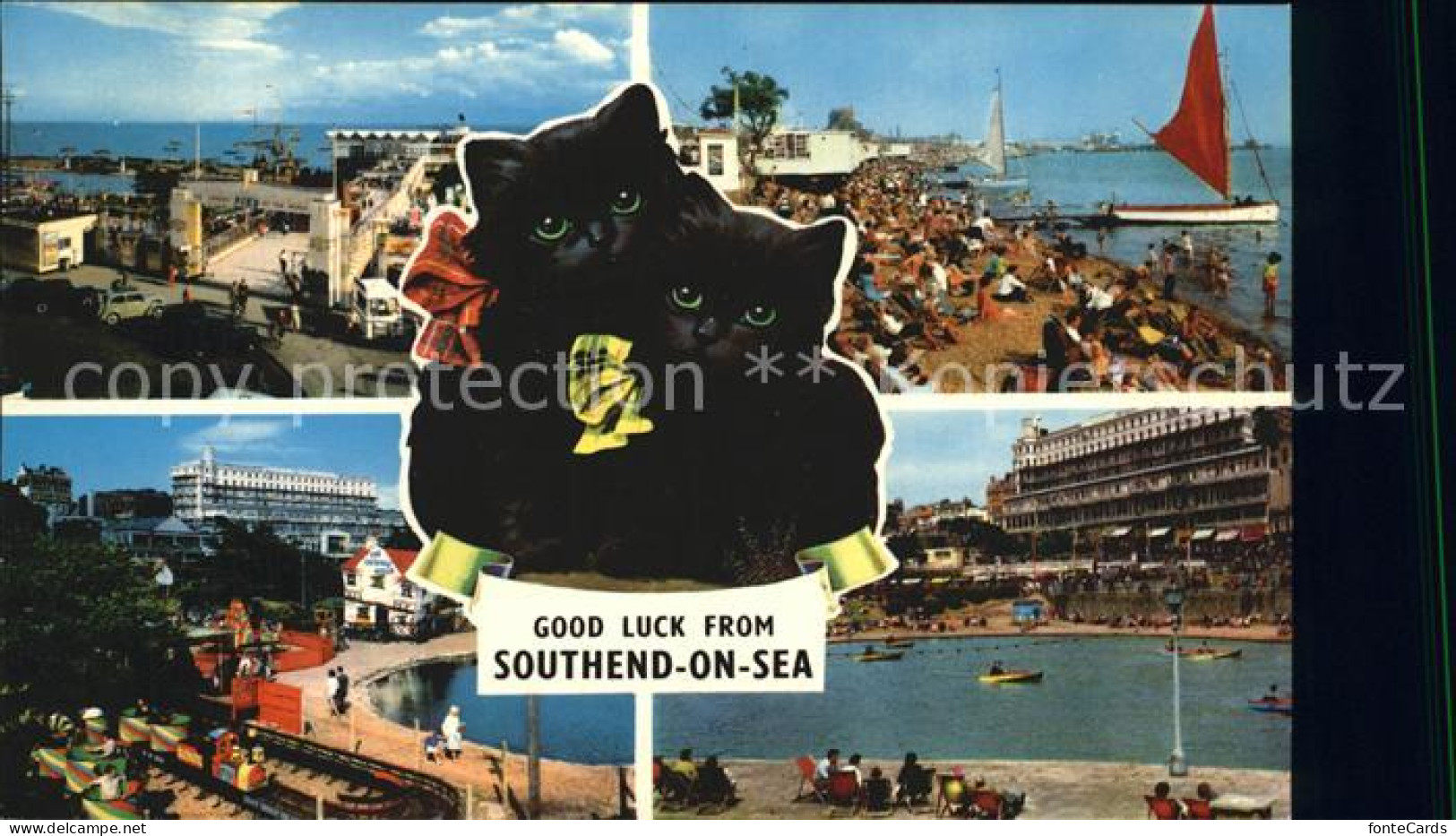 72388208 Southend-on-Sea Strand Hotel Katzen Southend-on-Sea - Sonstige & Ohne Zuordnung