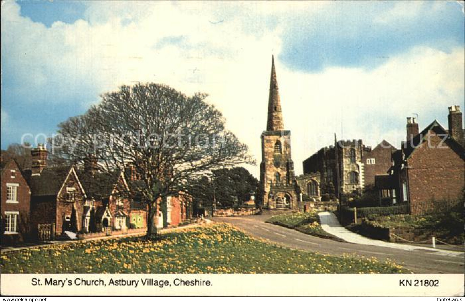 72465927 Cheshire St Marys Church Astbury Village  - Other & Unclassified