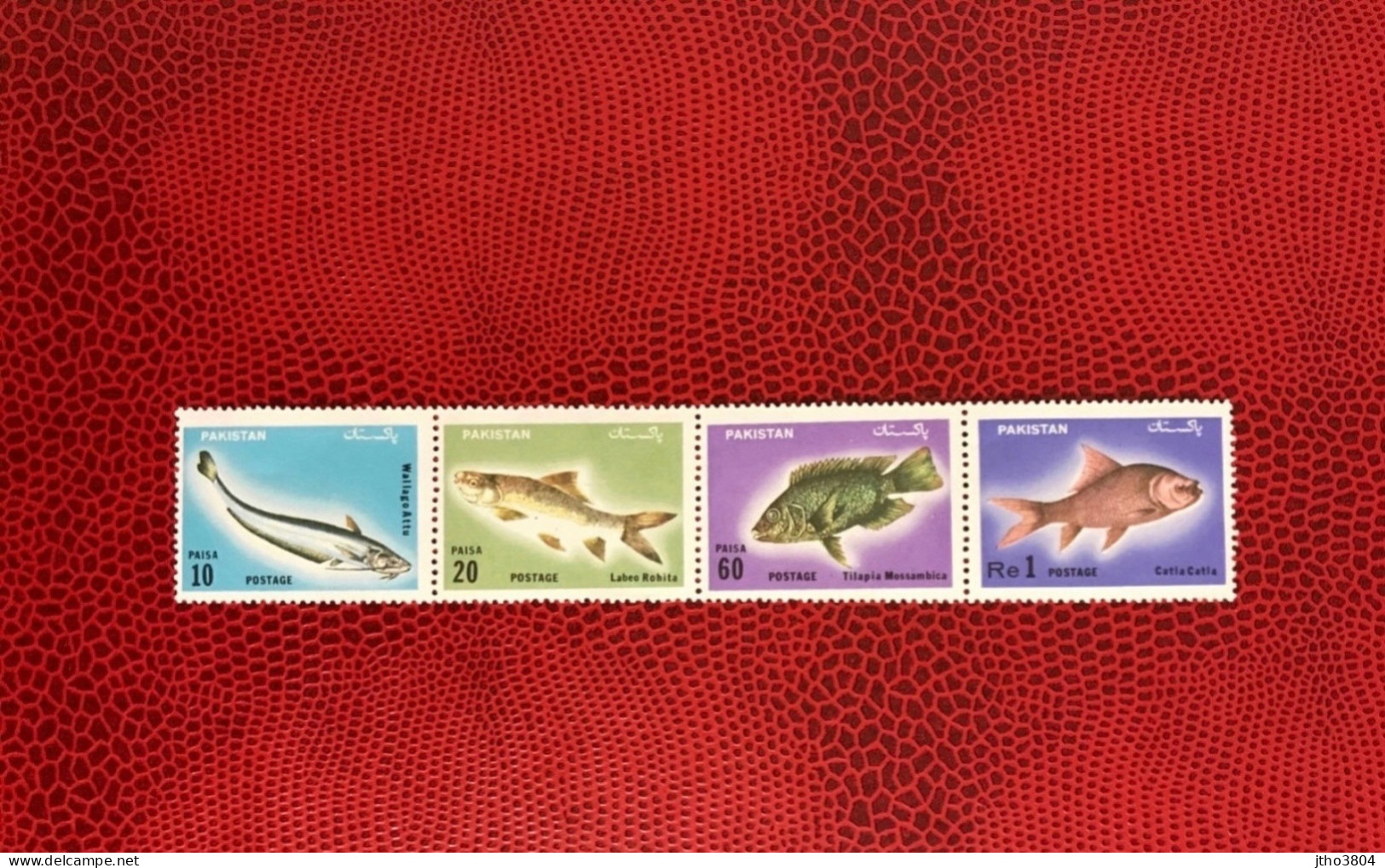 PAKISTAN 1973 4v Neuf MNH ** Mi 351 / 354 Pez Fish Peixe Fisch Pesce Poisson - Vissen