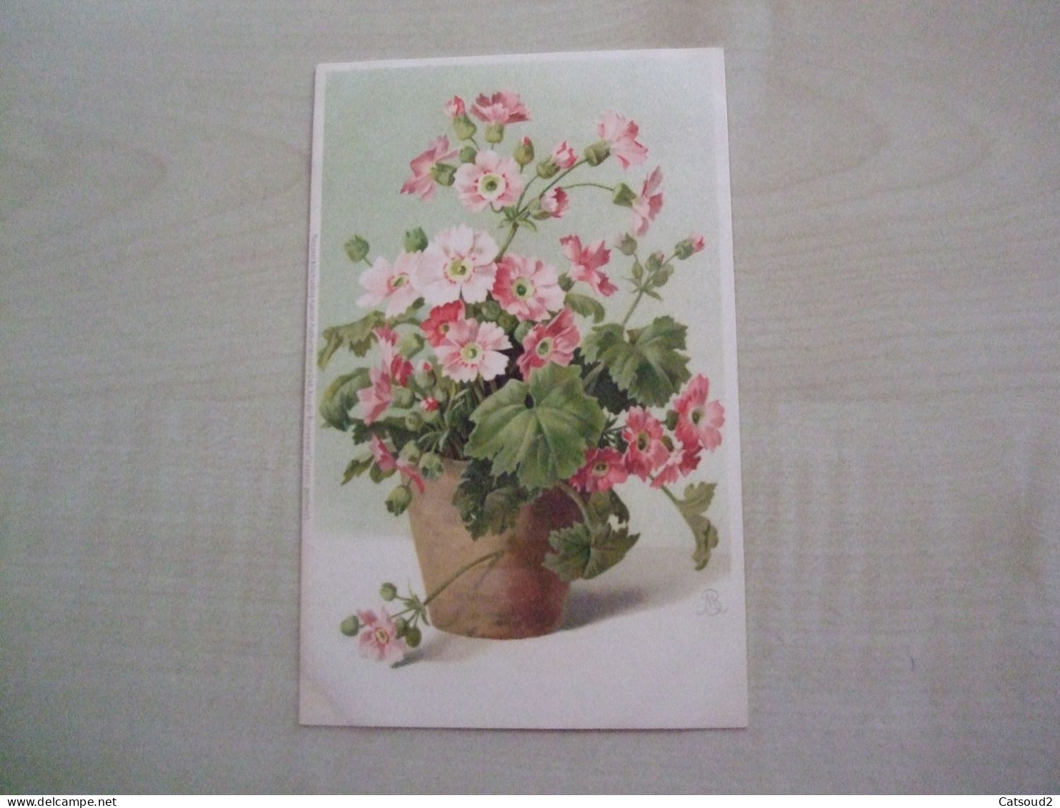 Carte Postale Ancienne FLEURS - Bloemen