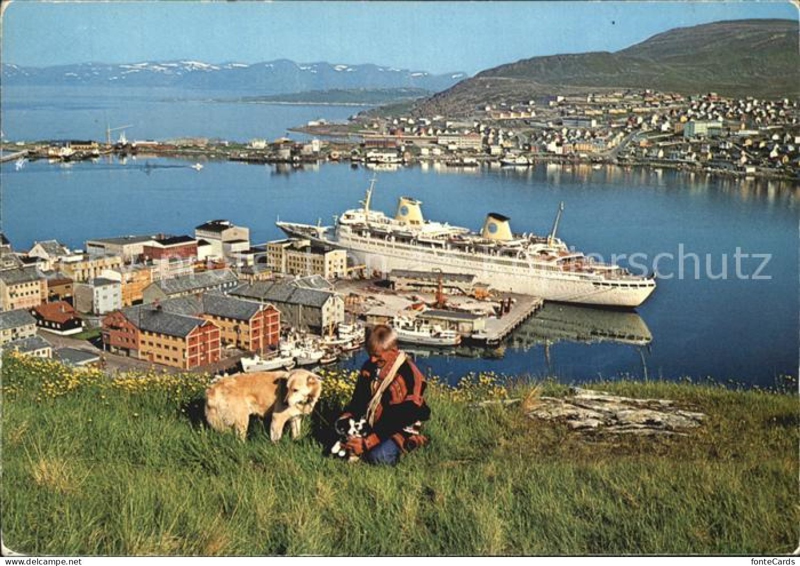 72458321 Hammerfest Dampfer Hund  Hammerfest - Norvège