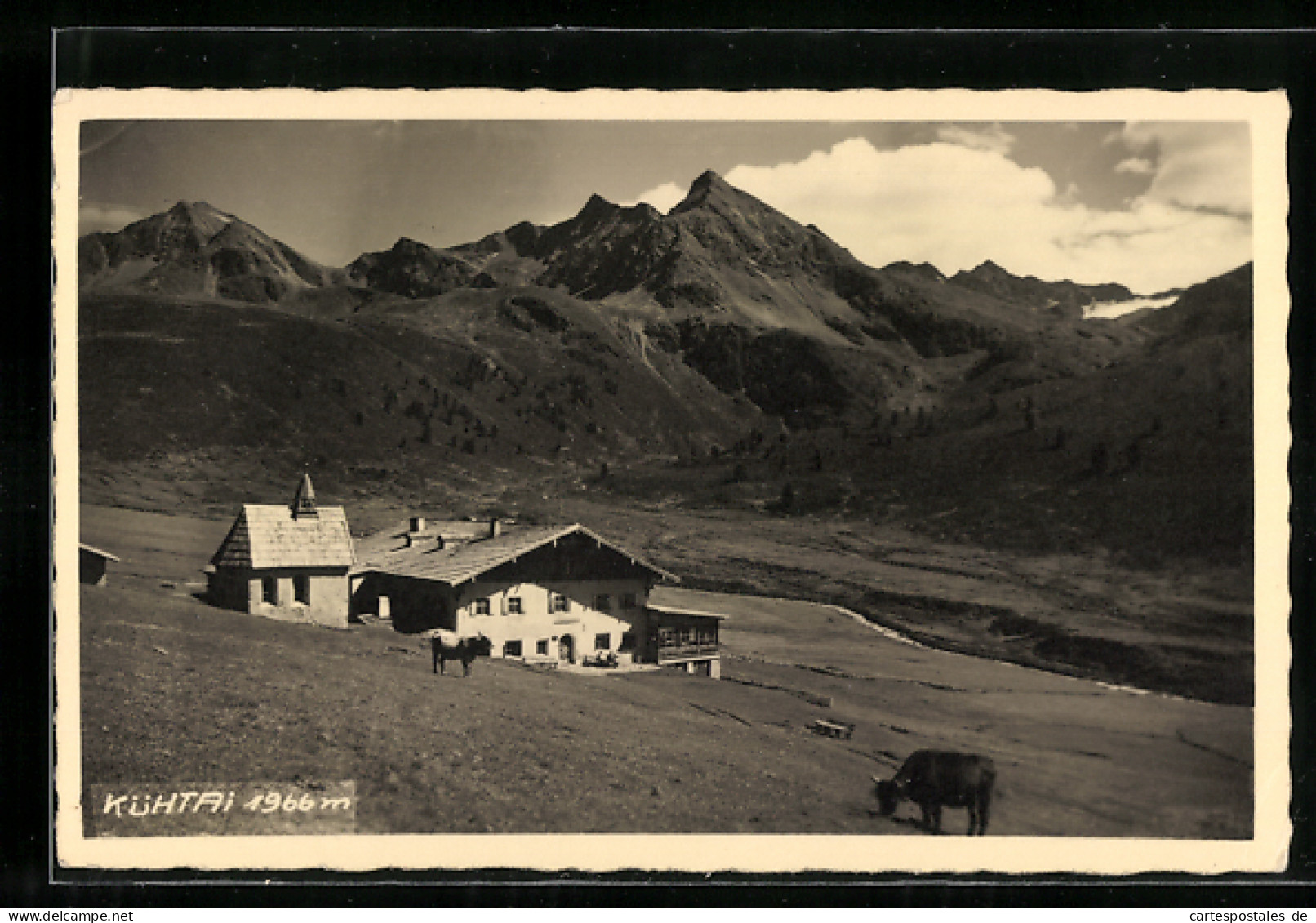 AK Silz, Alpengasthof Kühtai Mit Weidenden Kühen  - Sonstige & Ohne Zuordnung