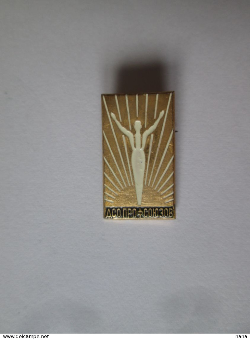Russie/URSS Insigne Du Syndicat DSO 1964/Russia/USSR DSO Trade Union Badge 1964,size:20 X 12 Mm - Andere & Zonder Classificatie