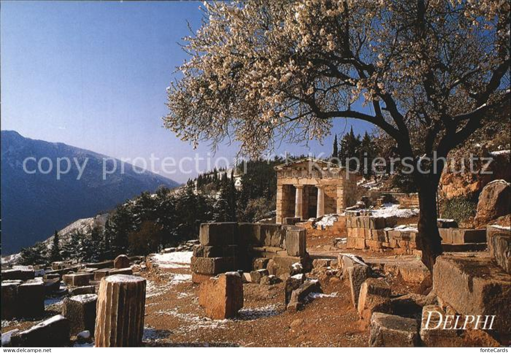 72448908 Delphi Tempelruine - Other & Unclassified