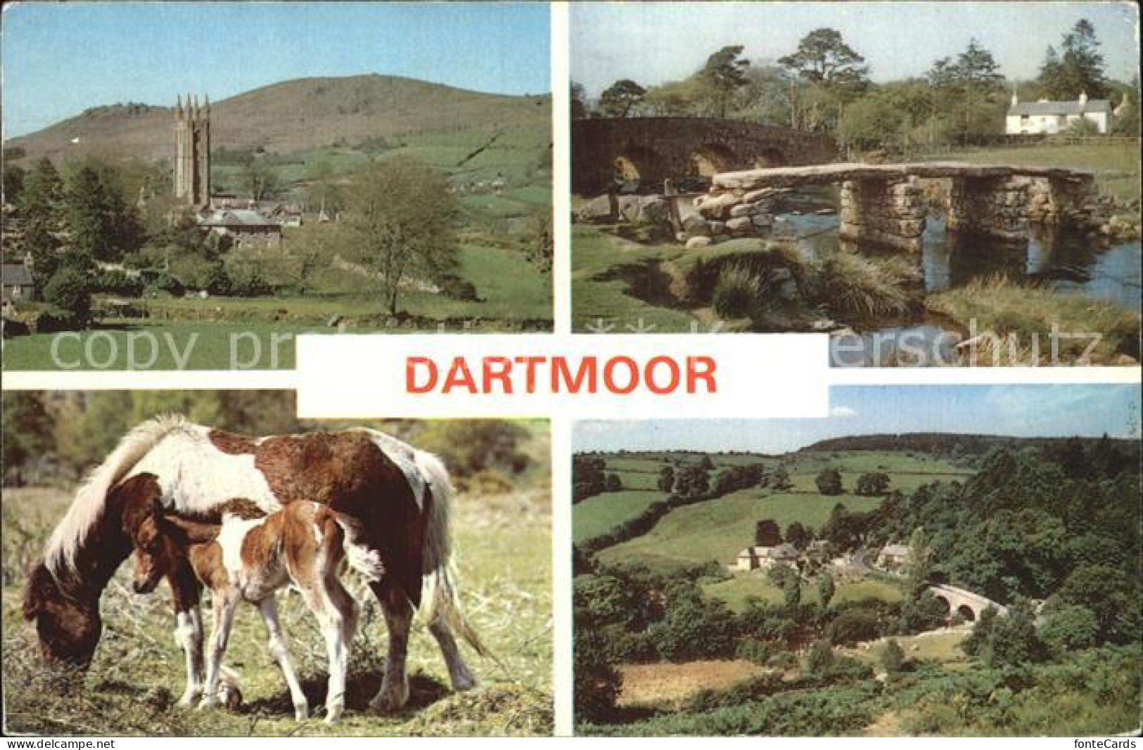72446628 Dartmoor Pony Bruecke   - Altri & Non Classificati
