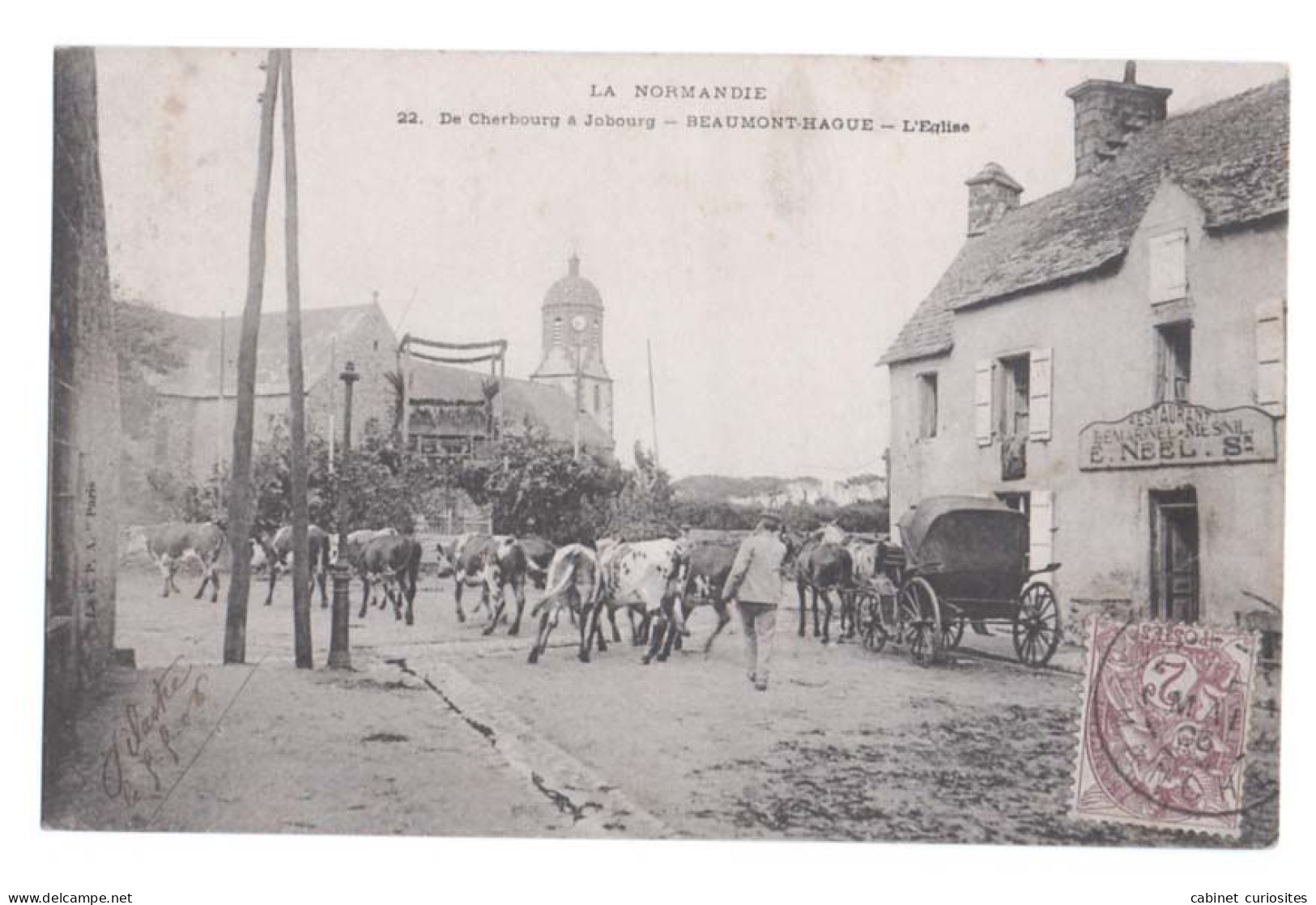 BEAUMONT-HAGUE - 1906 - De Cherbourg à Jobourg - L'Eglise - Vaches - Restaurant Lemarinel-Mesnil - Animée - Beaumont