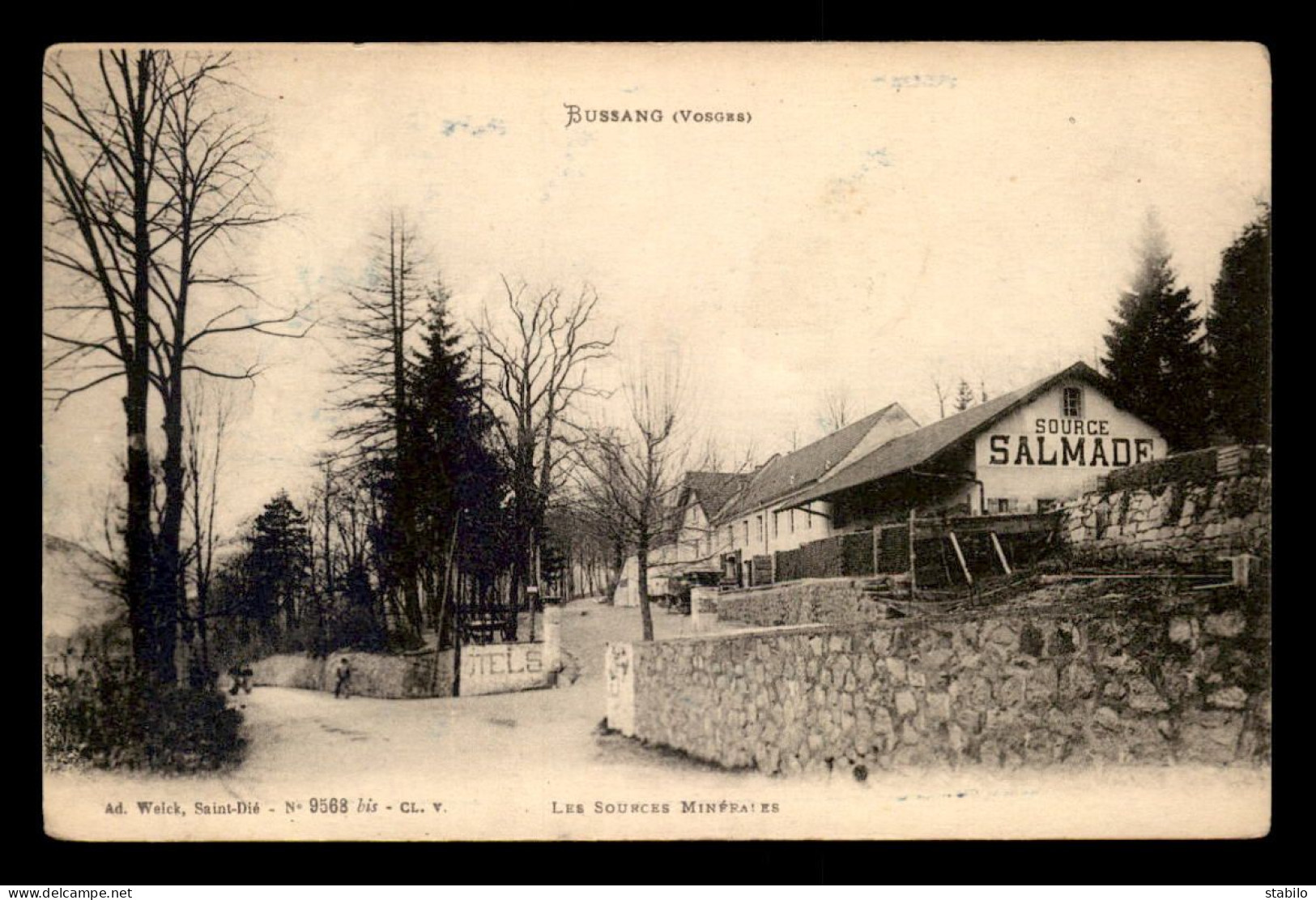 88 - BUSSANG - LES SOURCES MINERALE SALMADE - Bussang