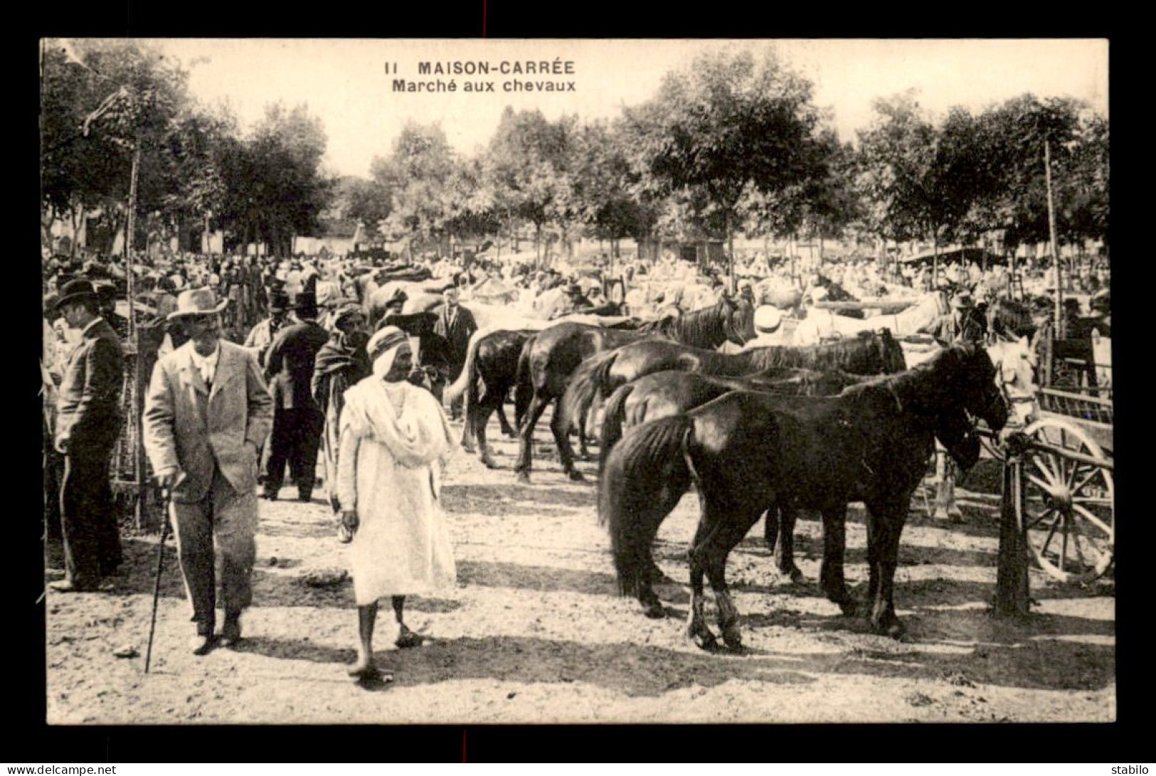 ALGERIE - MAISON CARREE - LE MARCHE AUX CHEVAUX - Autres & Non Classés